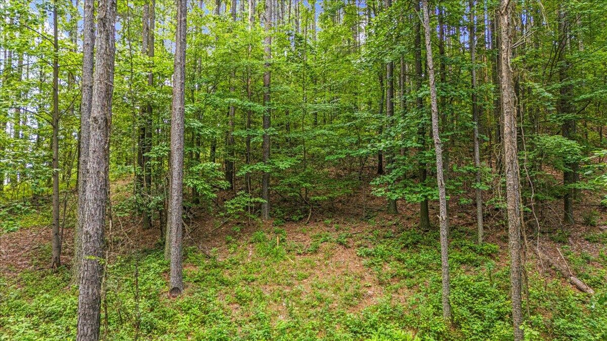 3715 Split Rail Way Property Photo 27