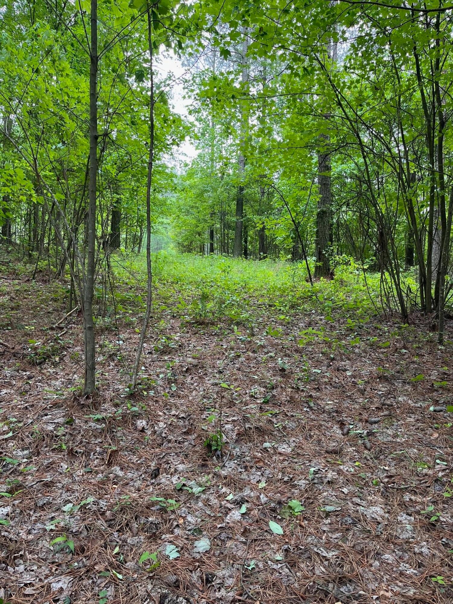 3715 Split Rail Way Property Photo 33