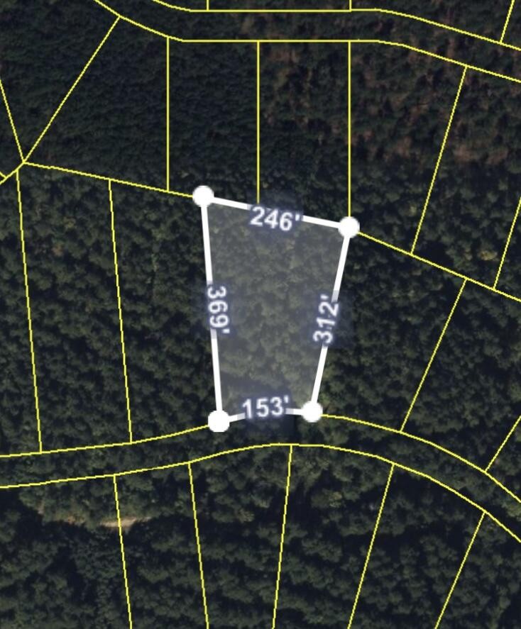3715 Split Rail Way Property Photo 43