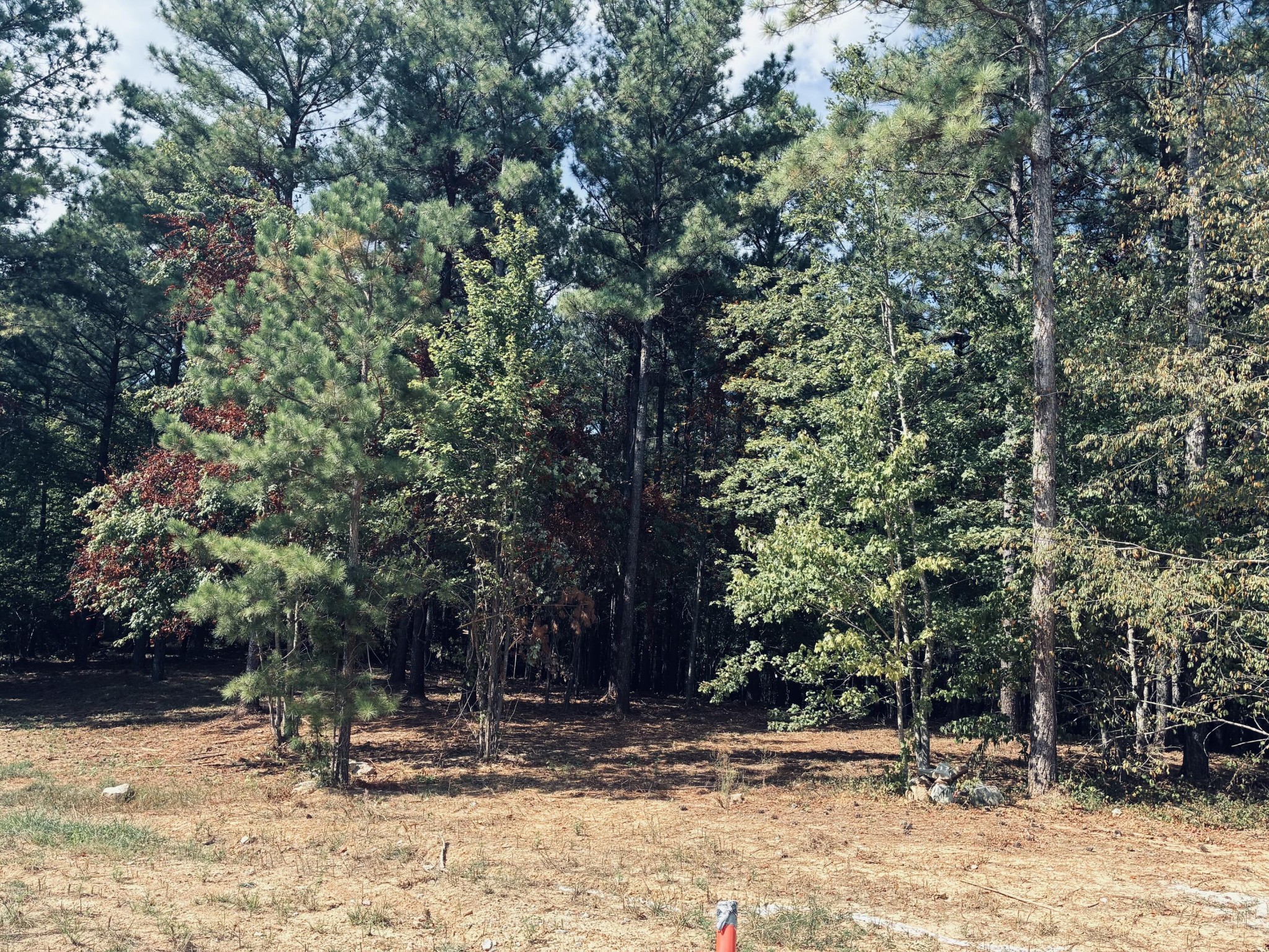 3715 Split Rail Way Property Photo 45