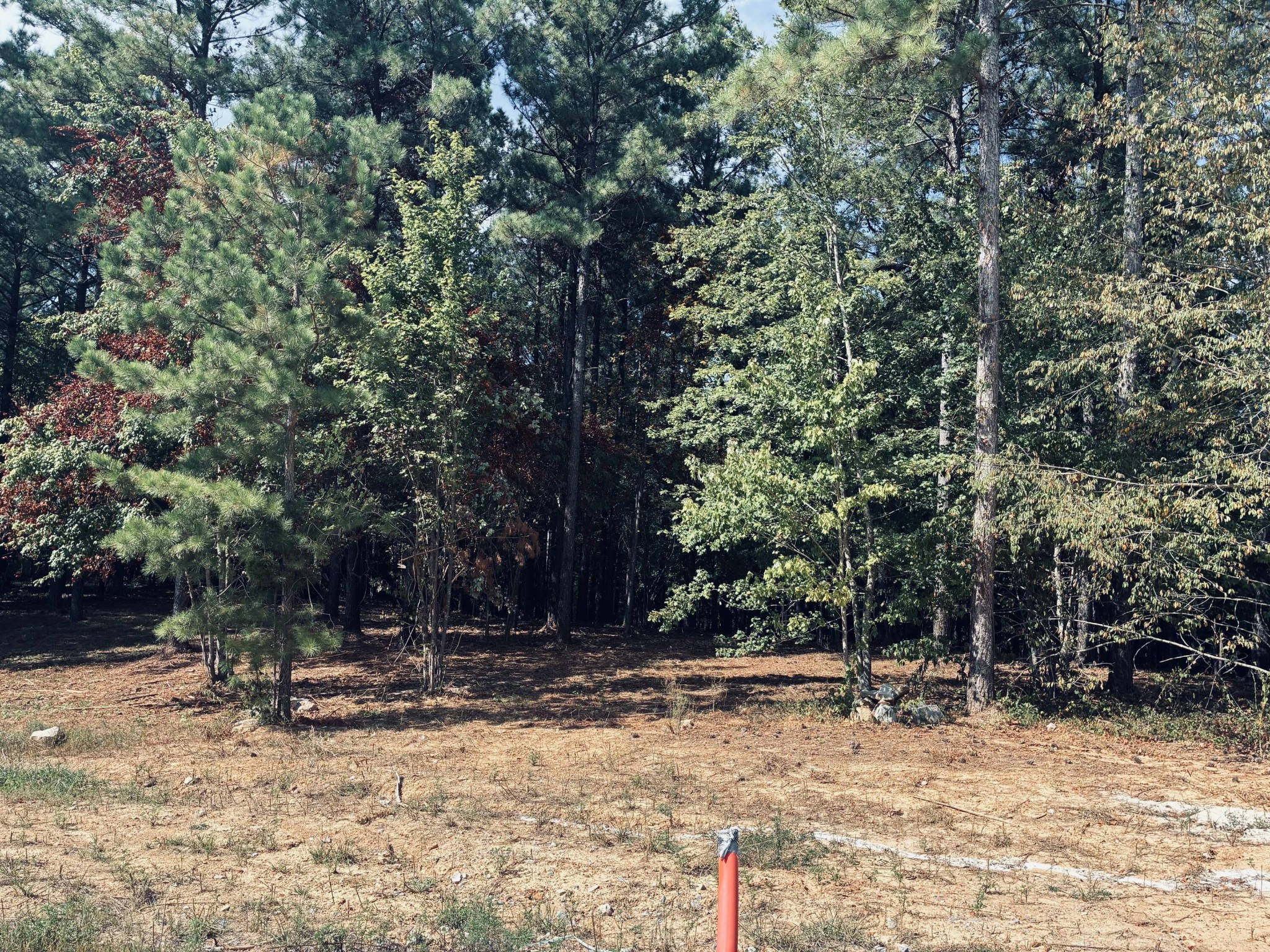 3715 Split Rail Way Property Photo 46