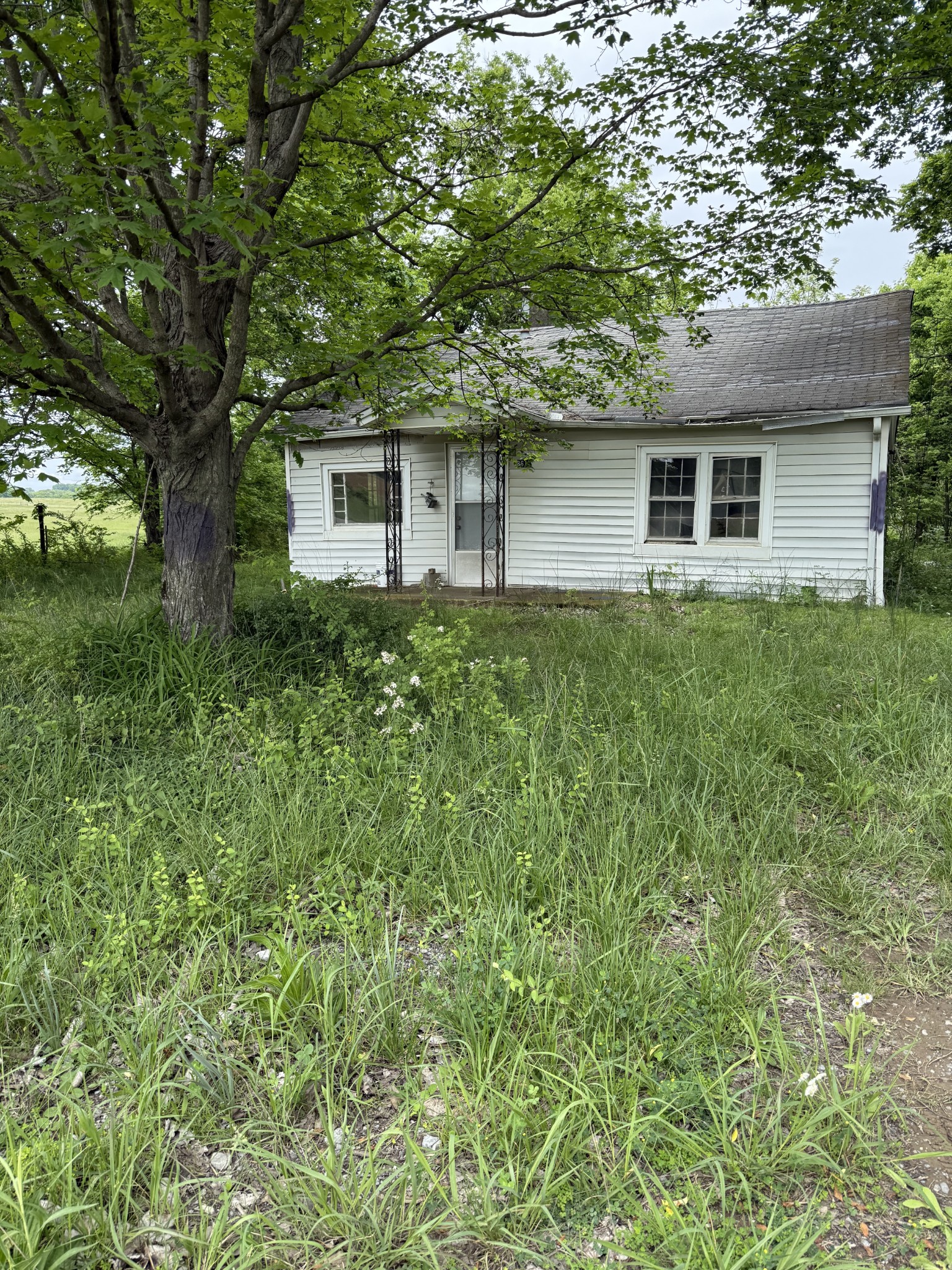 8612 Highway 25, E Property Photo 1