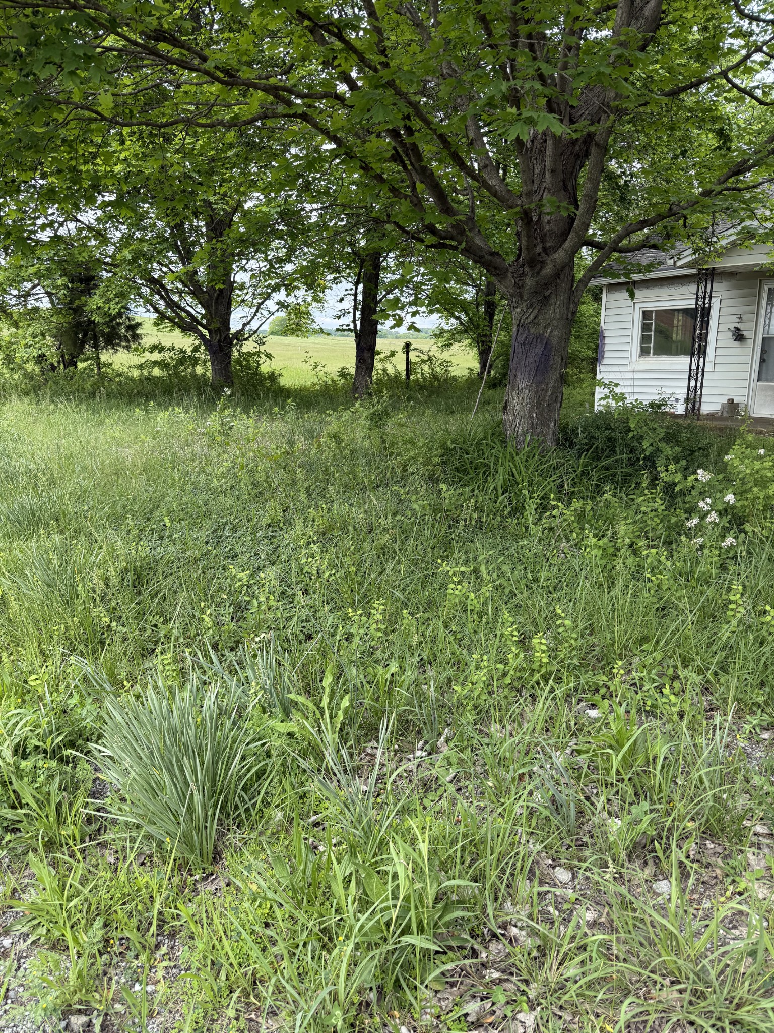 8612 Highway 25, E Property Photo 2