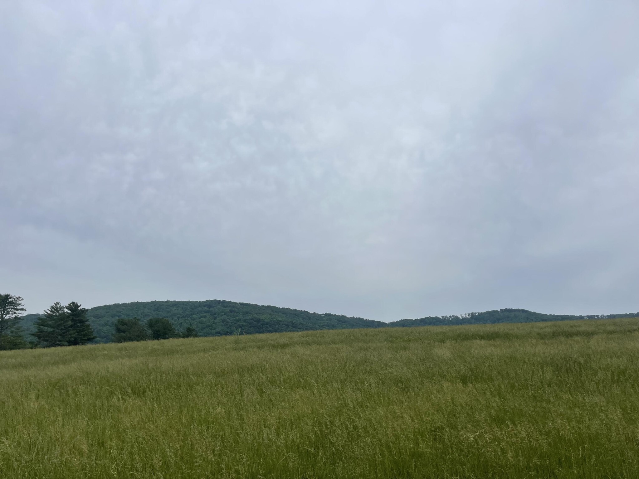 496 Aultville Trail Property Photo 3