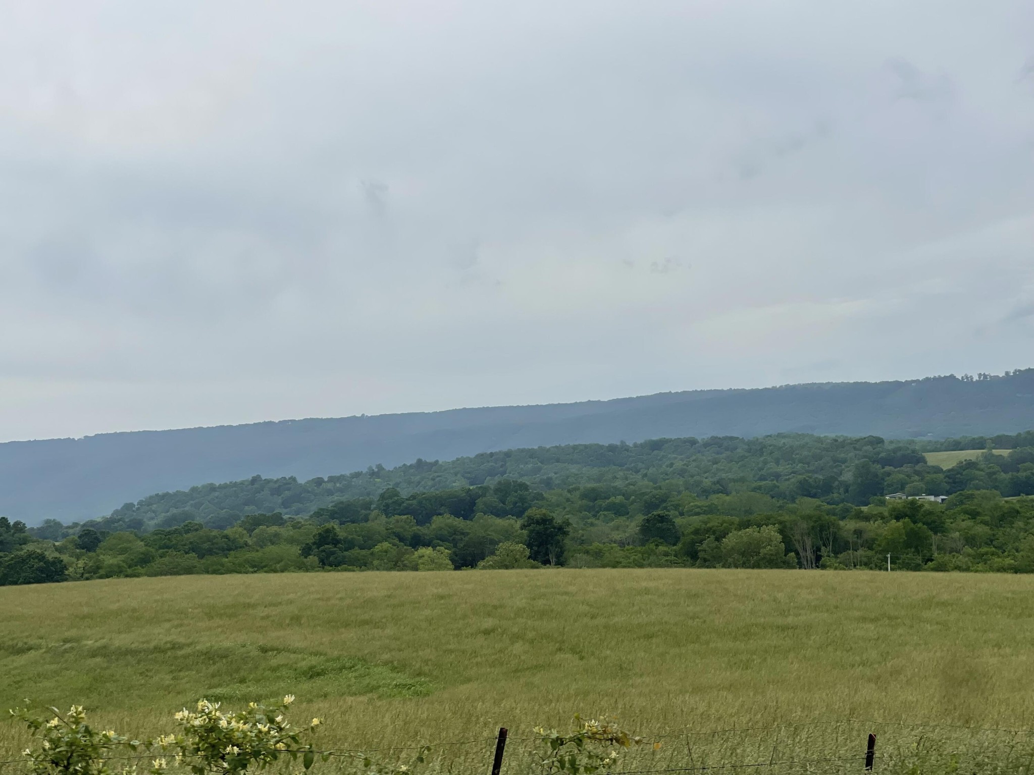 496 Aultville Trail Property Photo 4