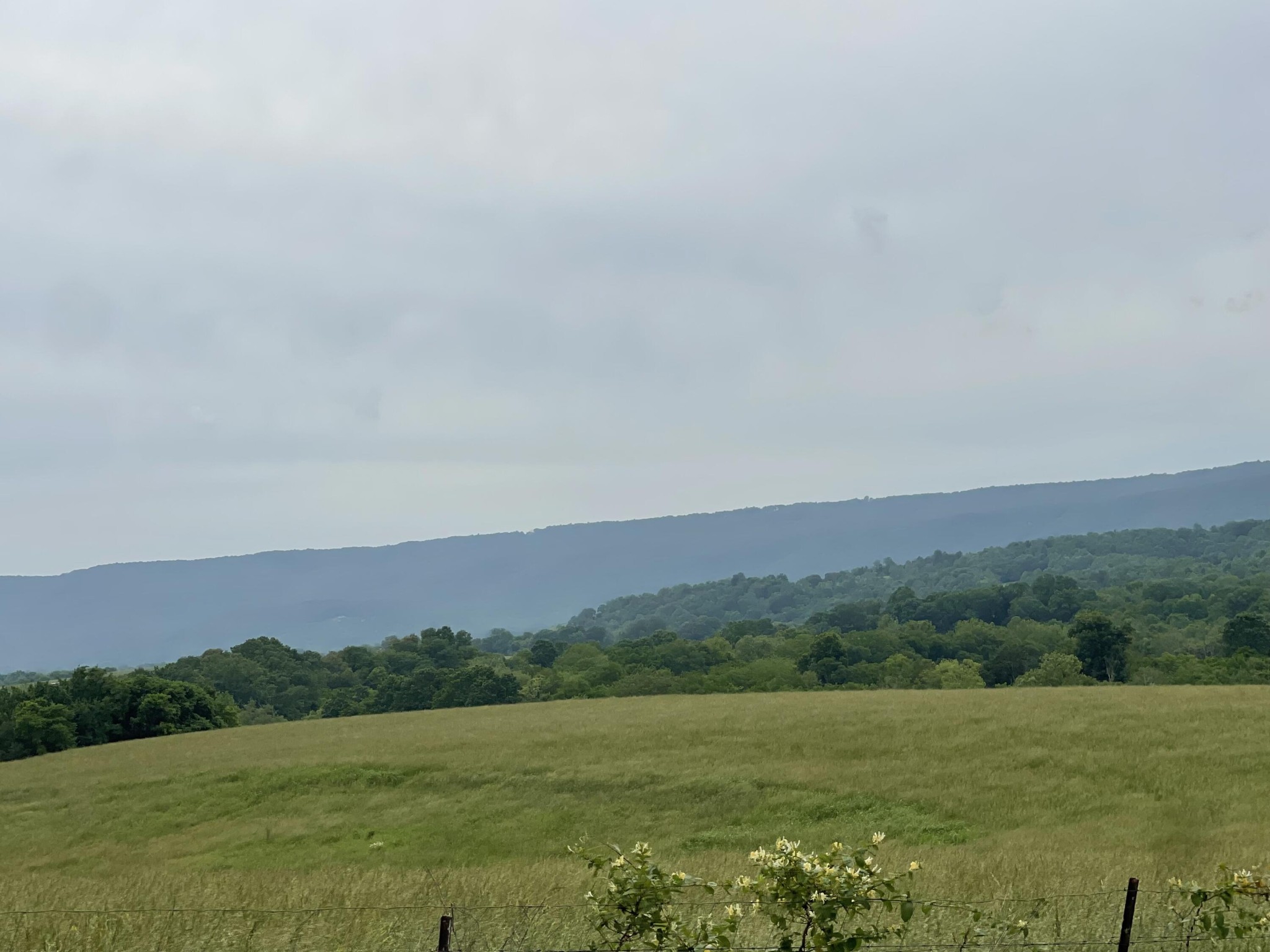 496 Aultville Trail Property Photo 5