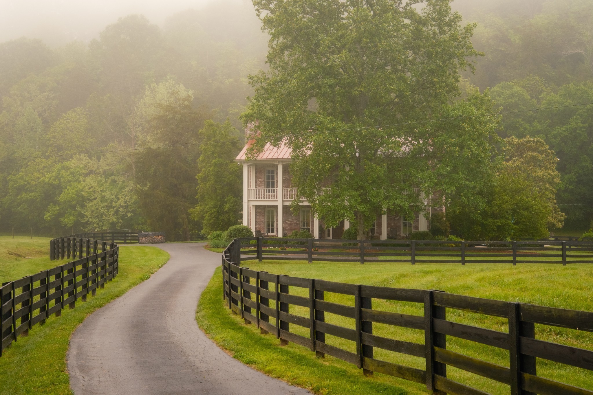 5620 Leipers Creek Rd Property Photo 3