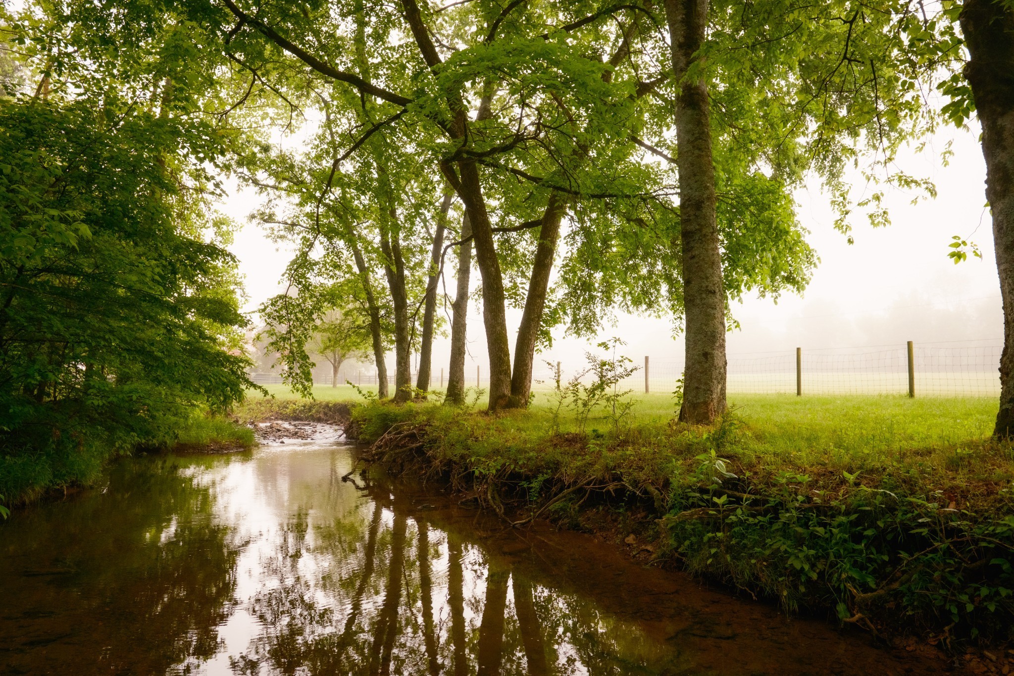 5620 Leipers Creek Rd Property Photo 9