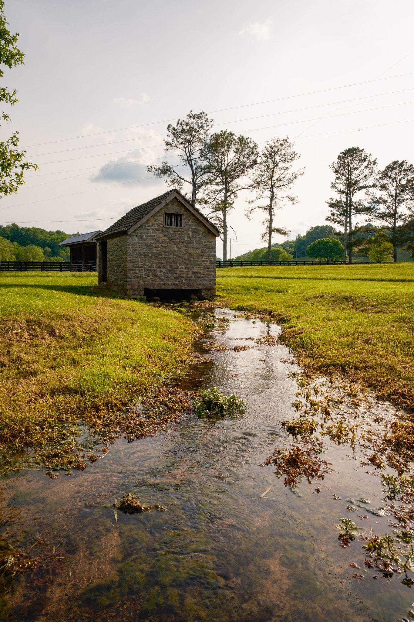 5620 Leipers Creek Rd Property Photo 14