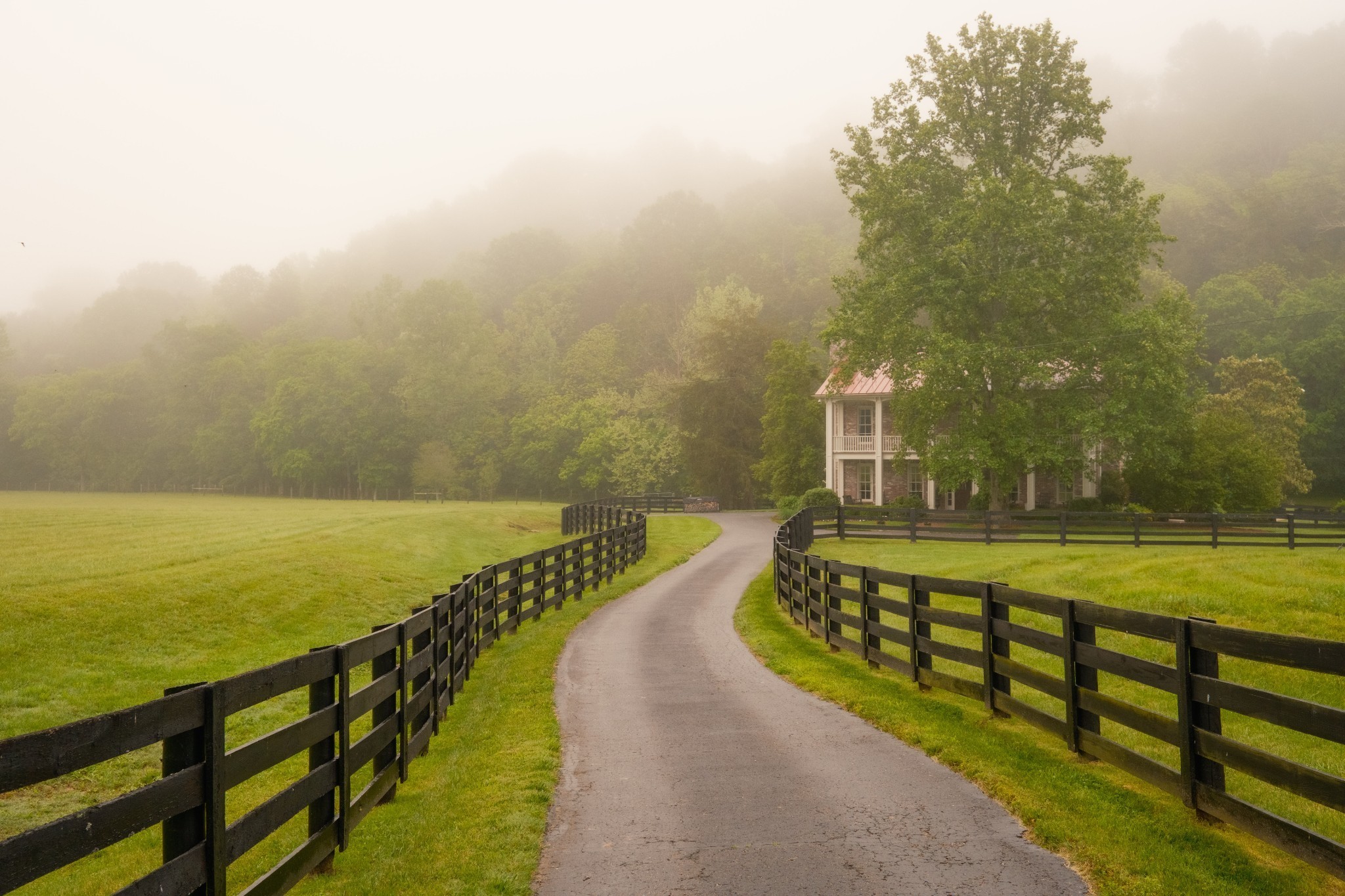 5620 Leipers Creek Rd Property Photo 15