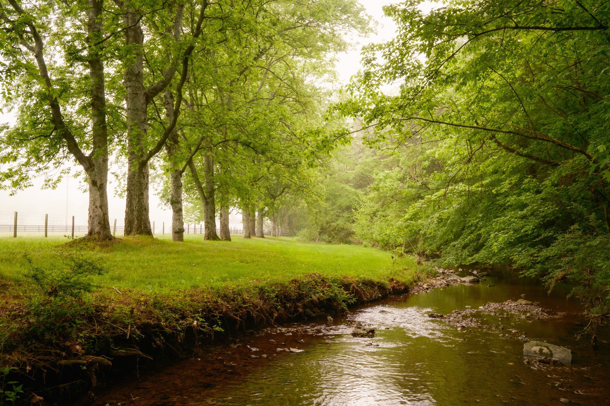 5620 Leipers Creek Rd Property Photo 18