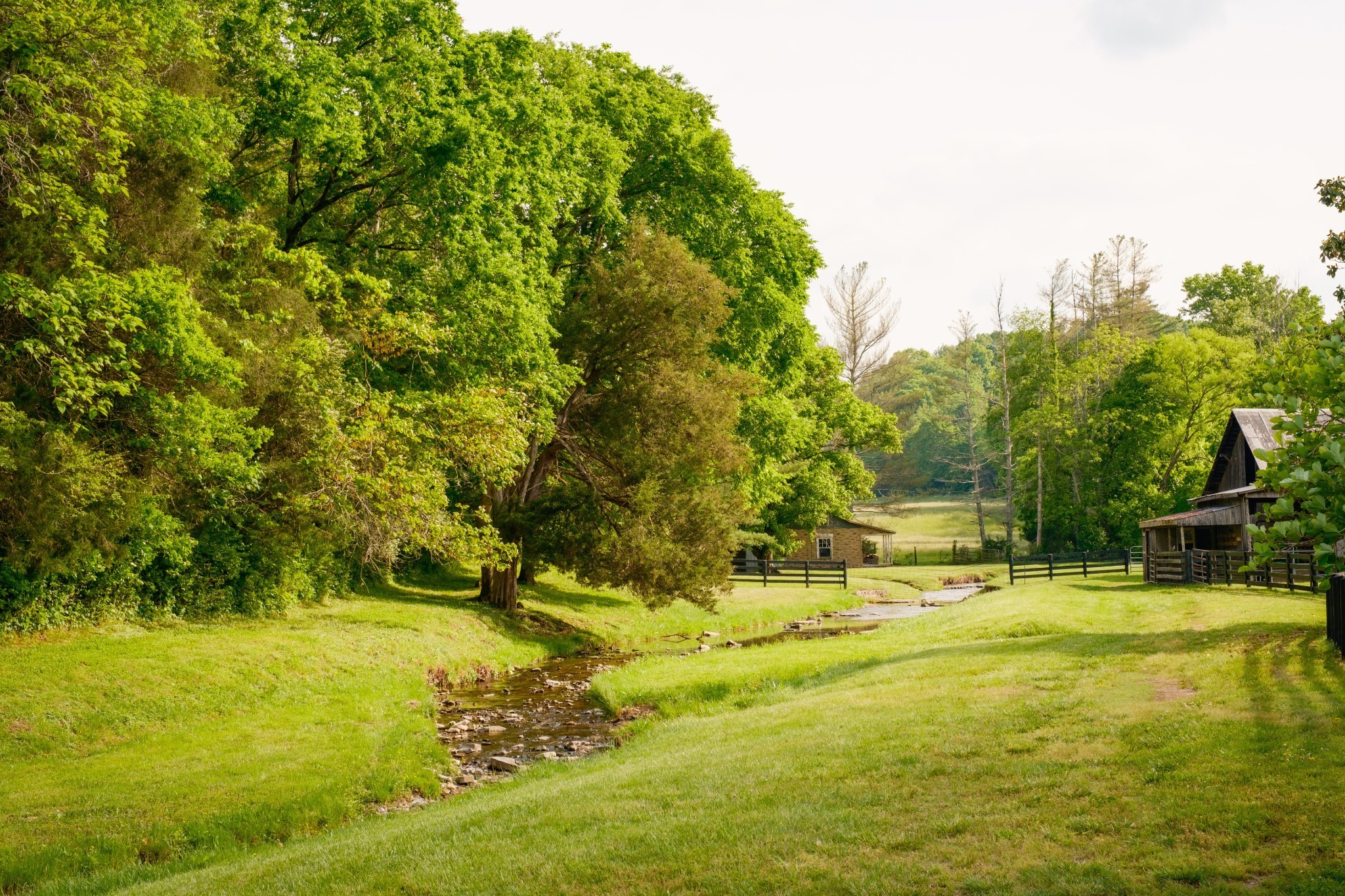 5620 Leipers Creek Rd Property Photo 20