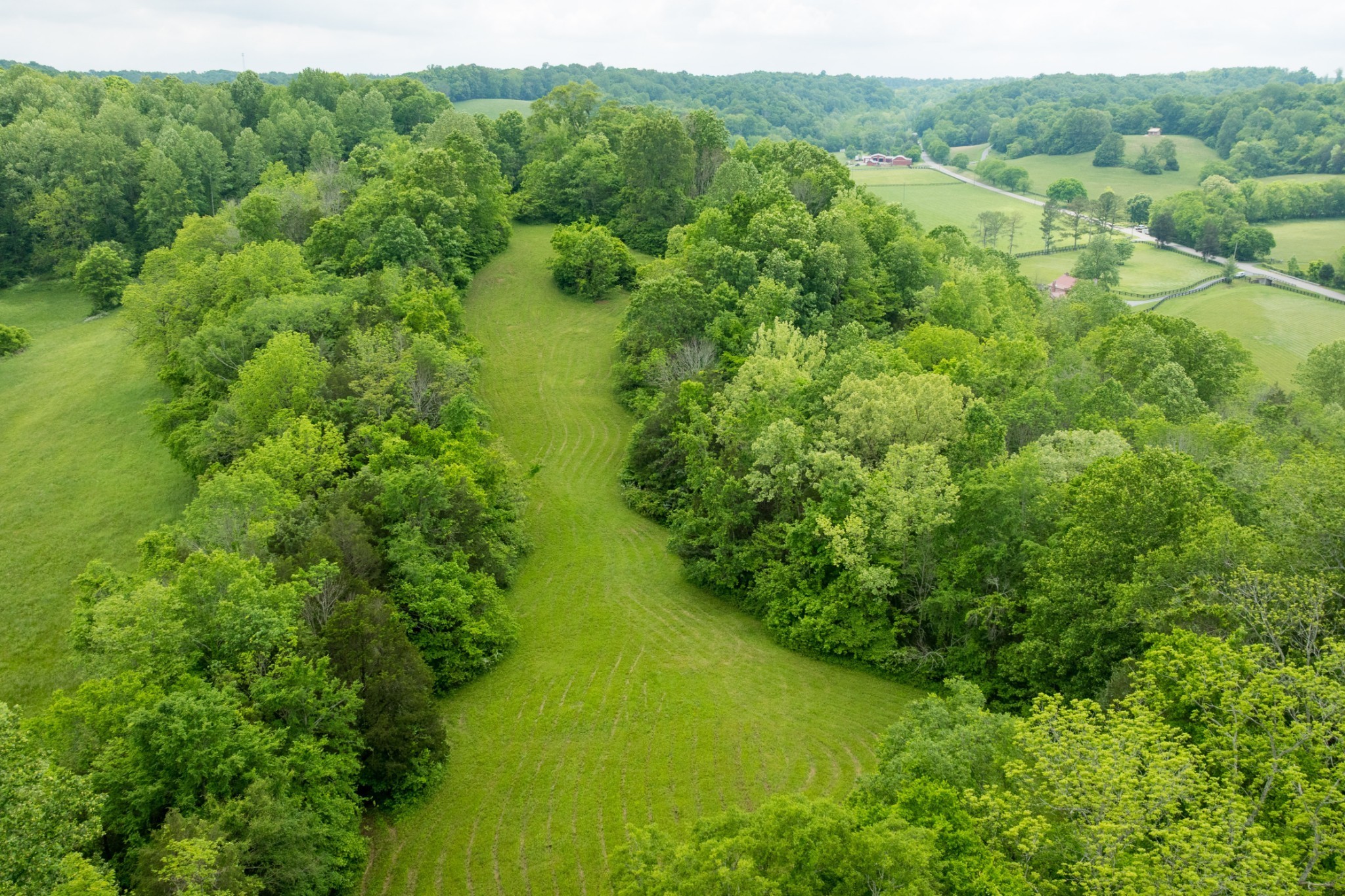 5620 Leipers Creek Rd Property Photo 25