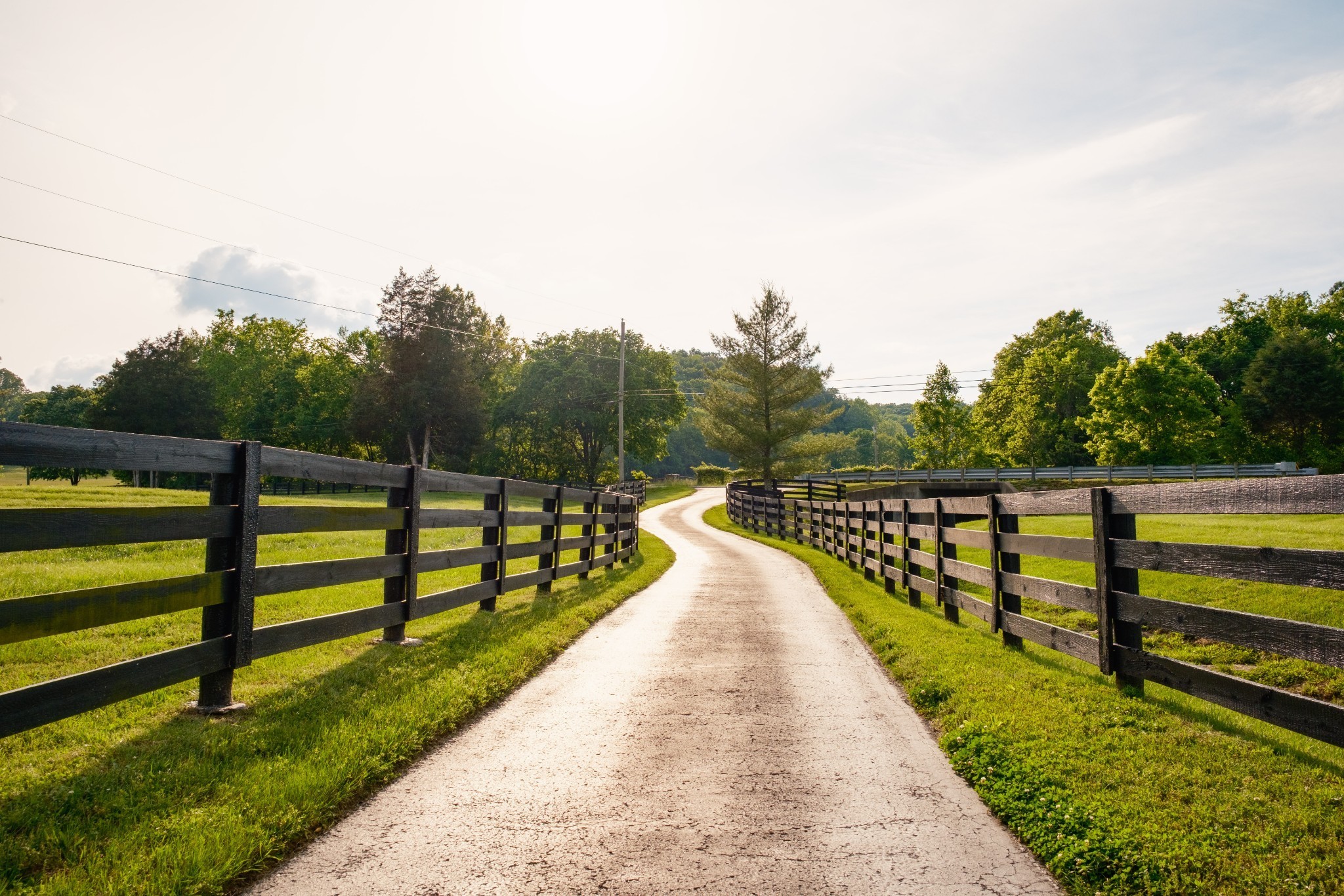5620 Leipers Creek Rd Property Photo 27