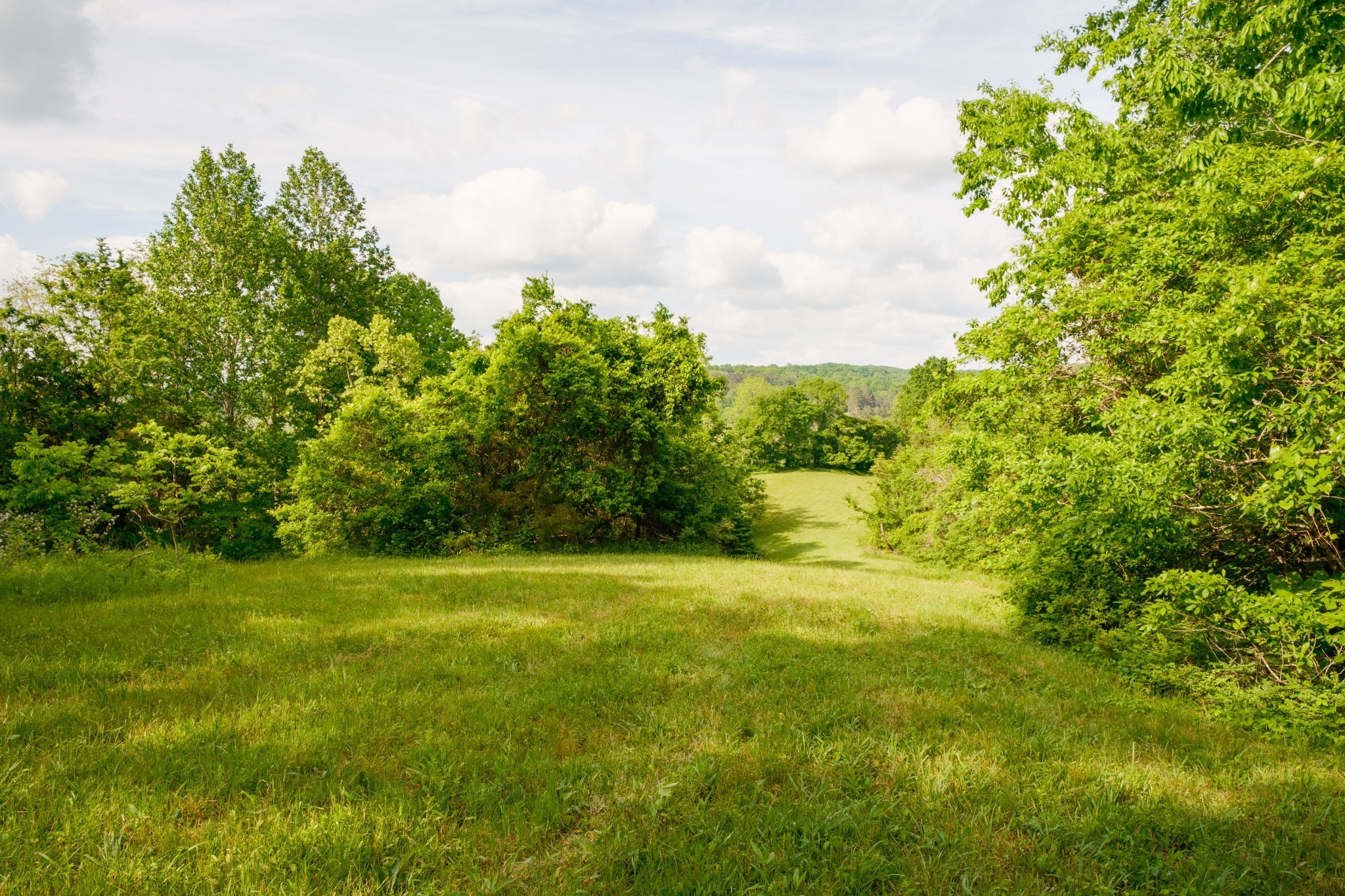 5620 Leipers Creek Rd Property Photo 32