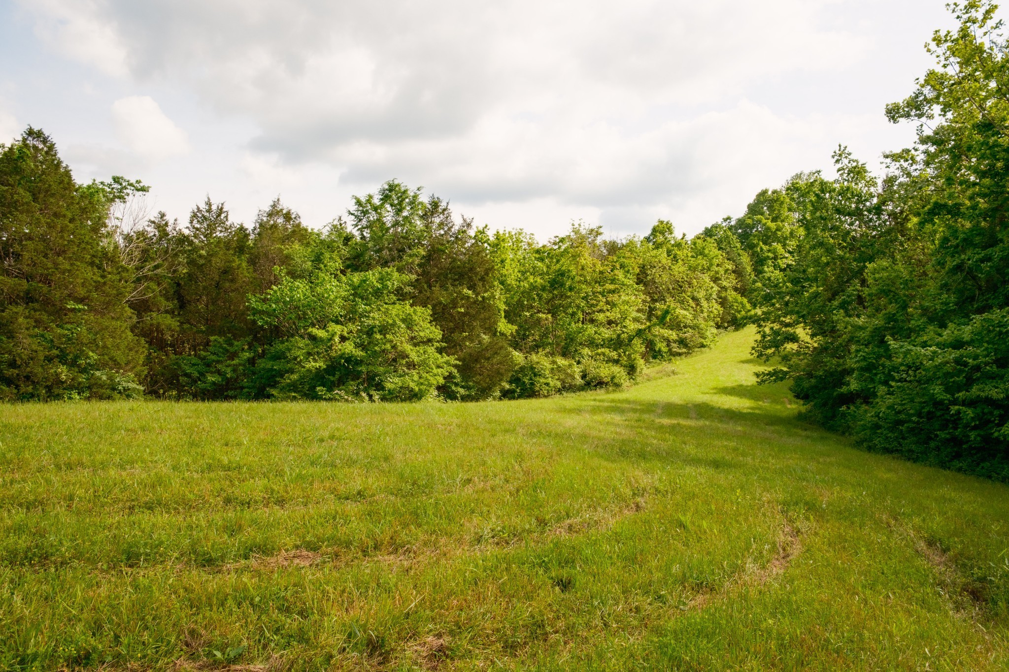 5620 Leipers Creek Rd Property Photo 35