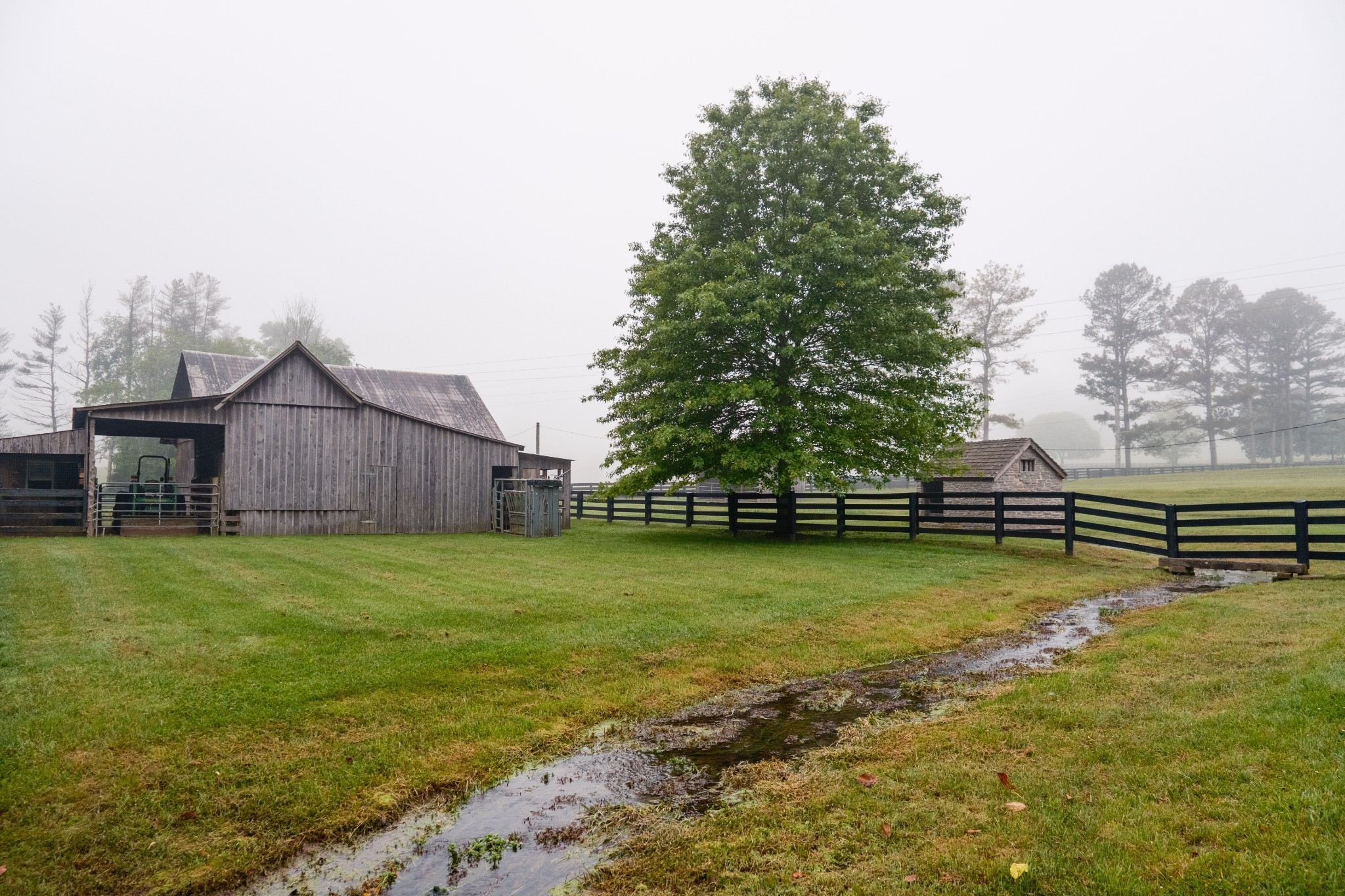 5620 Leipers Creek Rd Property Photo 36