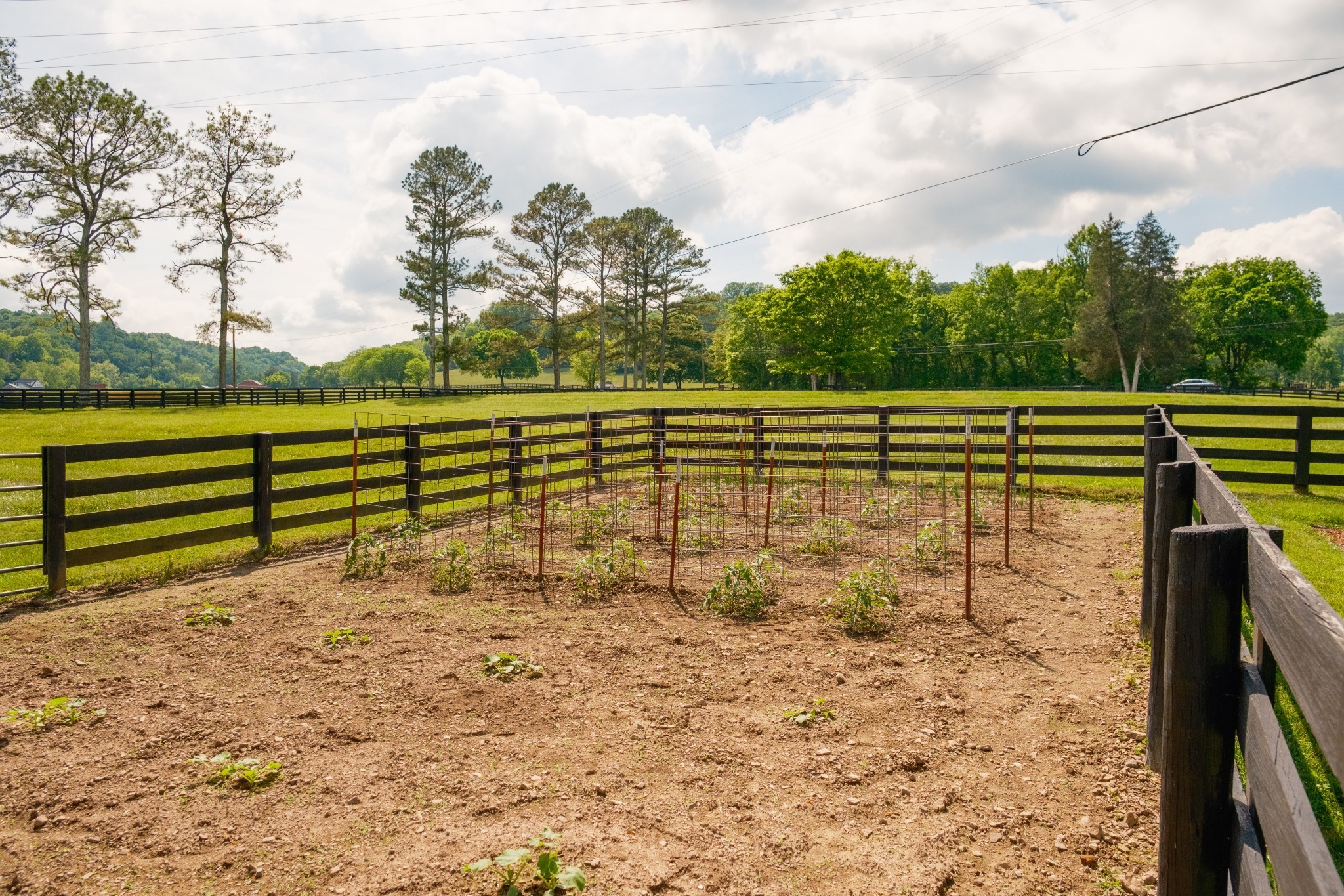 5620 Leipers Creek Rd Property Photo 37