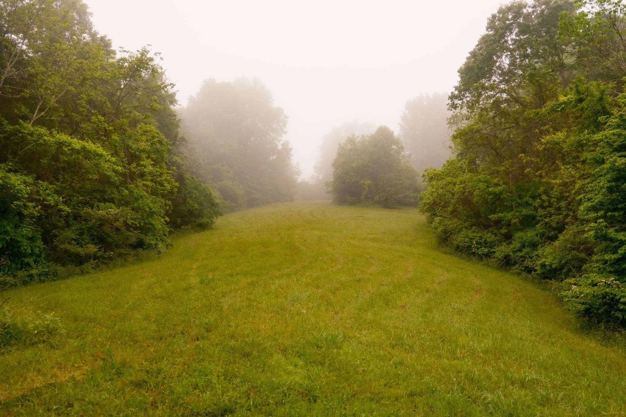 5620 Leipers Creek Rd Property Photo 64