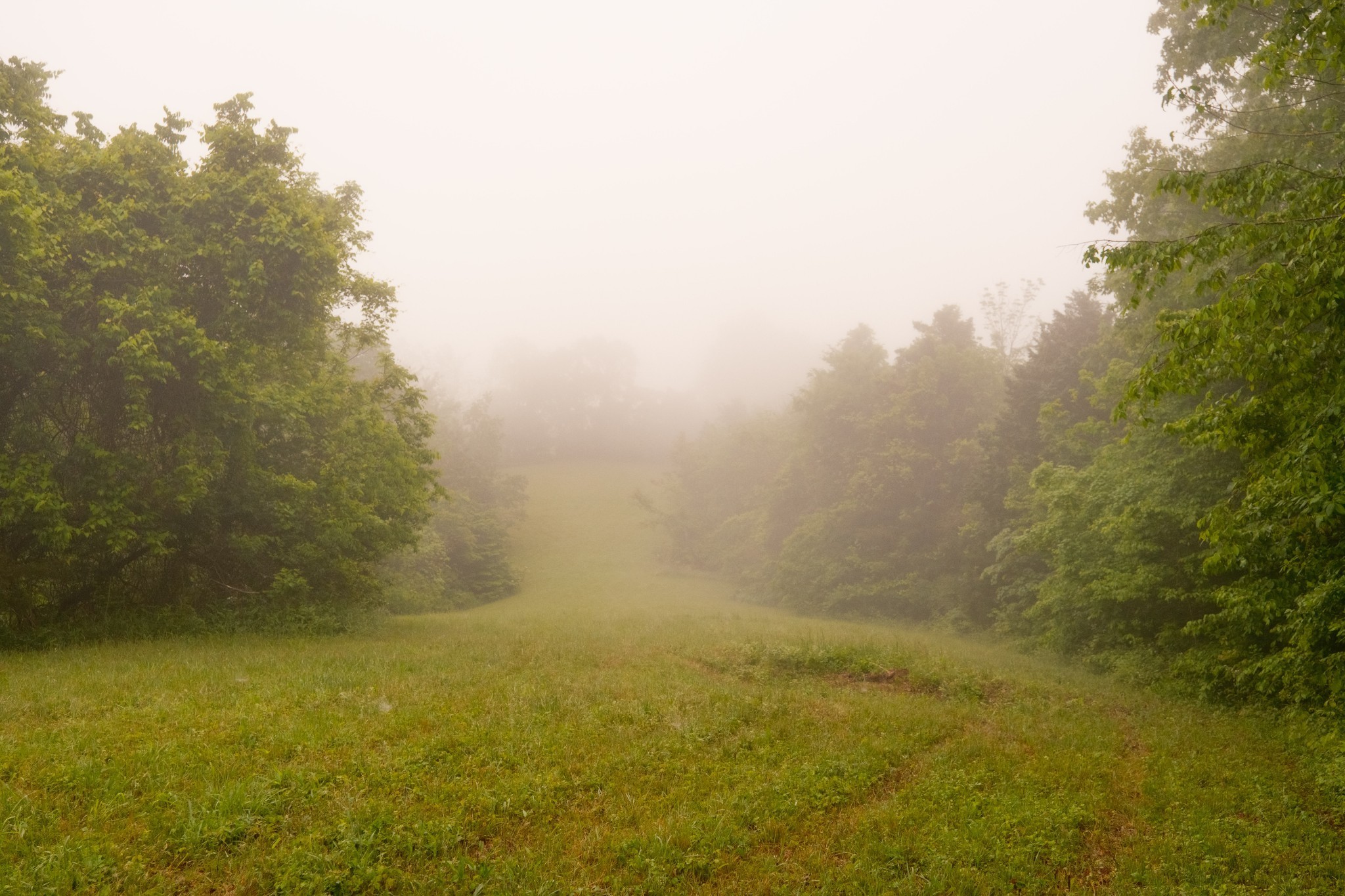 5620 Leipers Creek Rd Property Photo 65