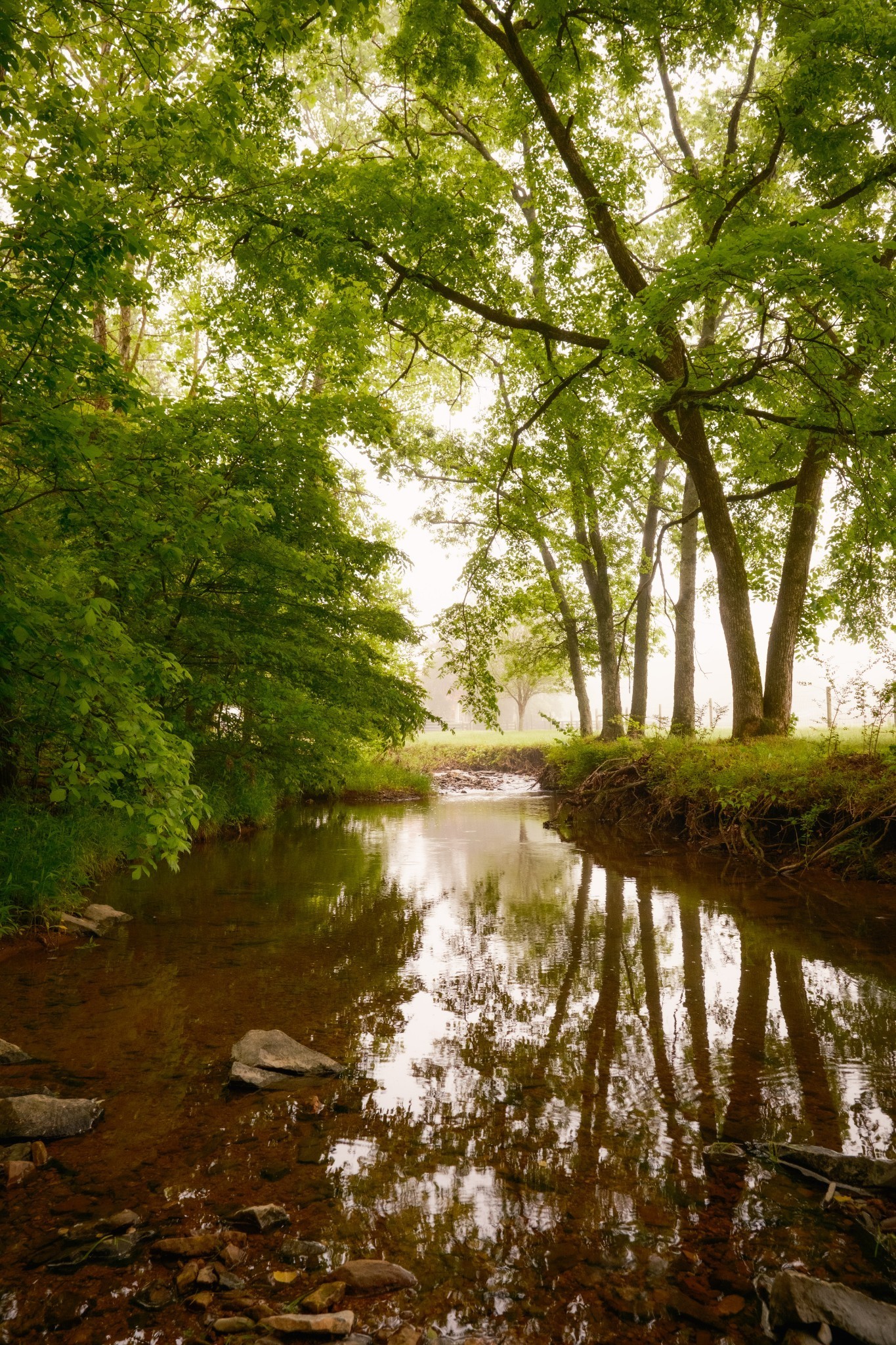 5620 Leipers Creek Rd Property Photo 66