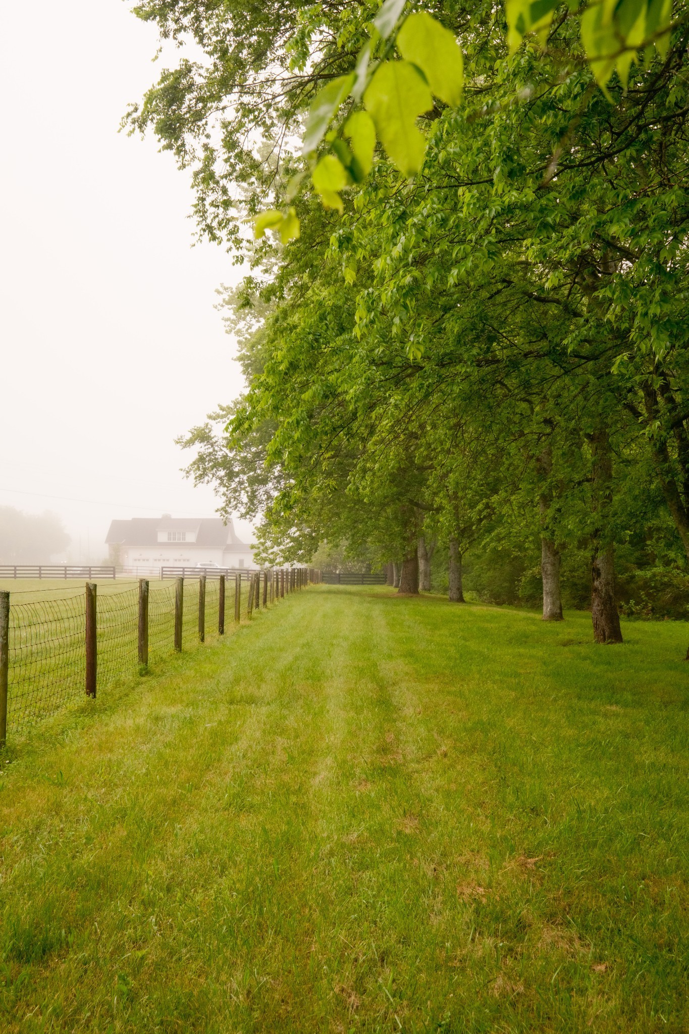 5620 Leipers Creek Rd Property Photo 67