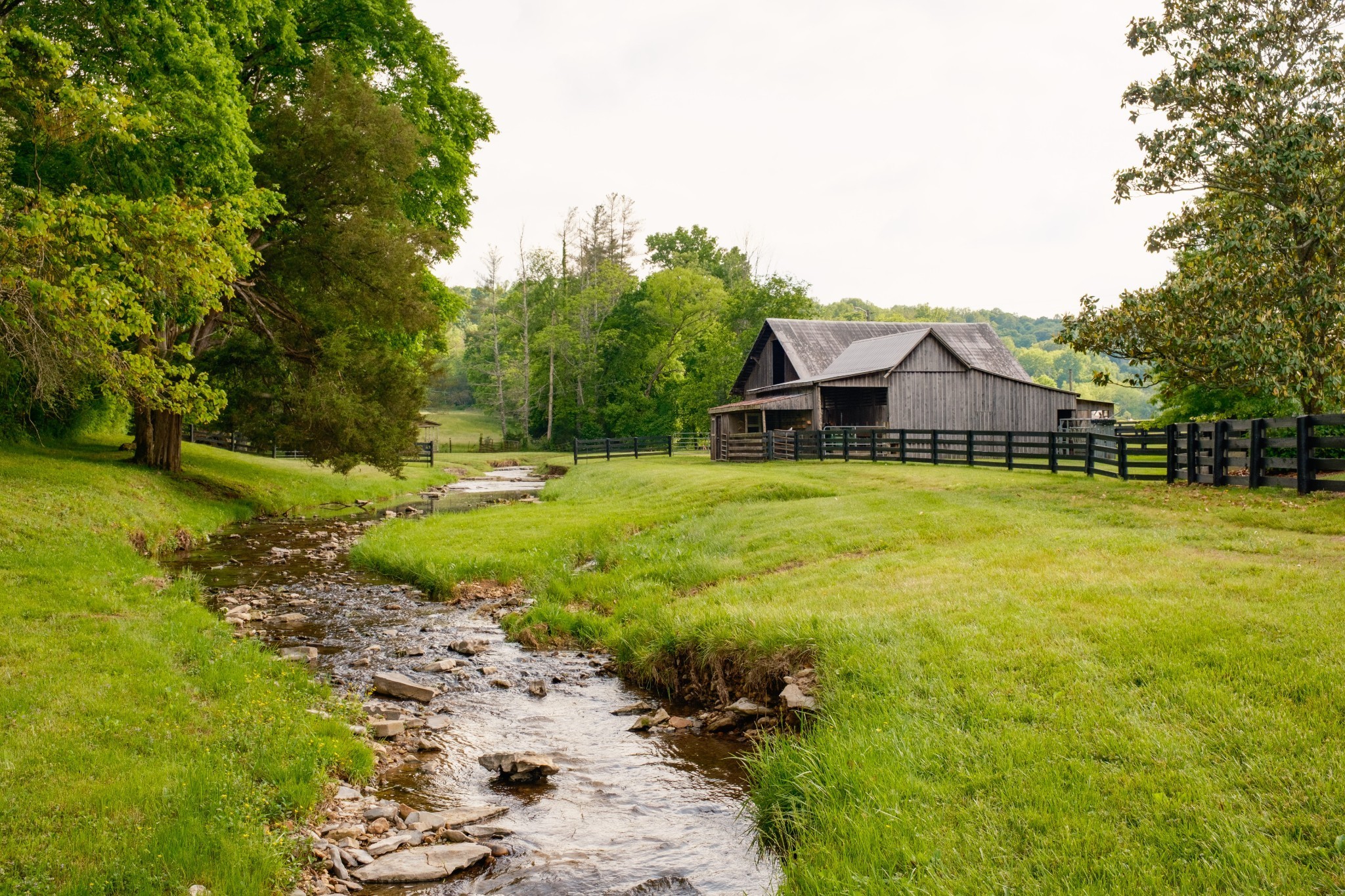 5620 Leipers Creek Rd Property Photo 68
