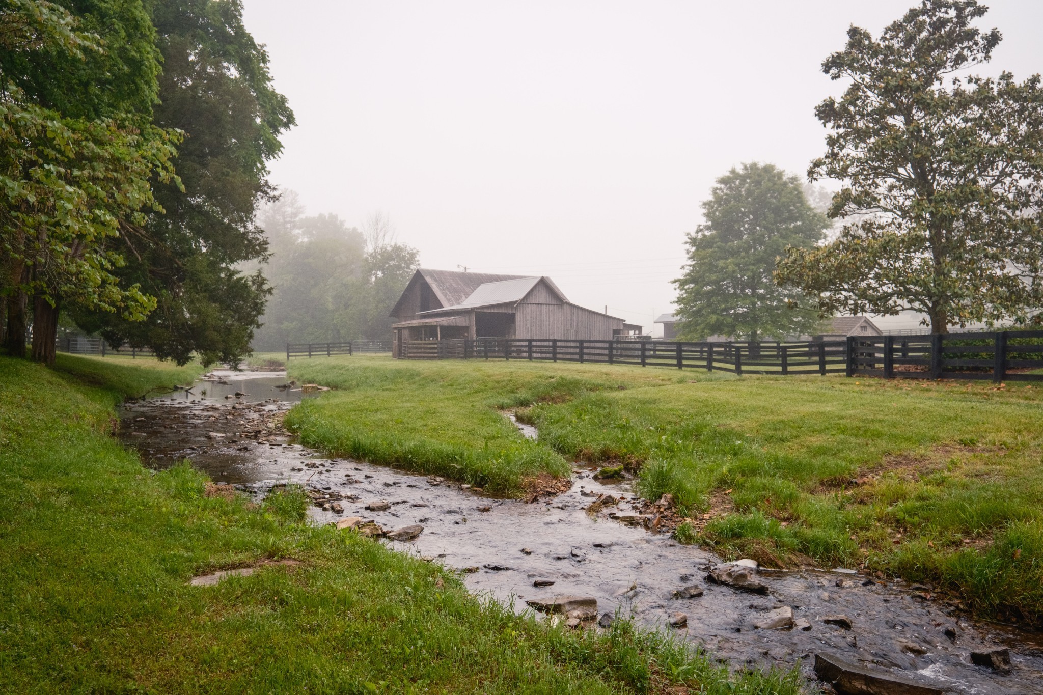 5620 Leipers Creek Rd Property Photo 71