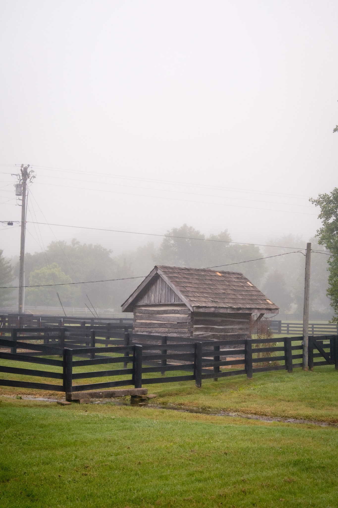 5620 Leipers Creek Rd Property Photo 72