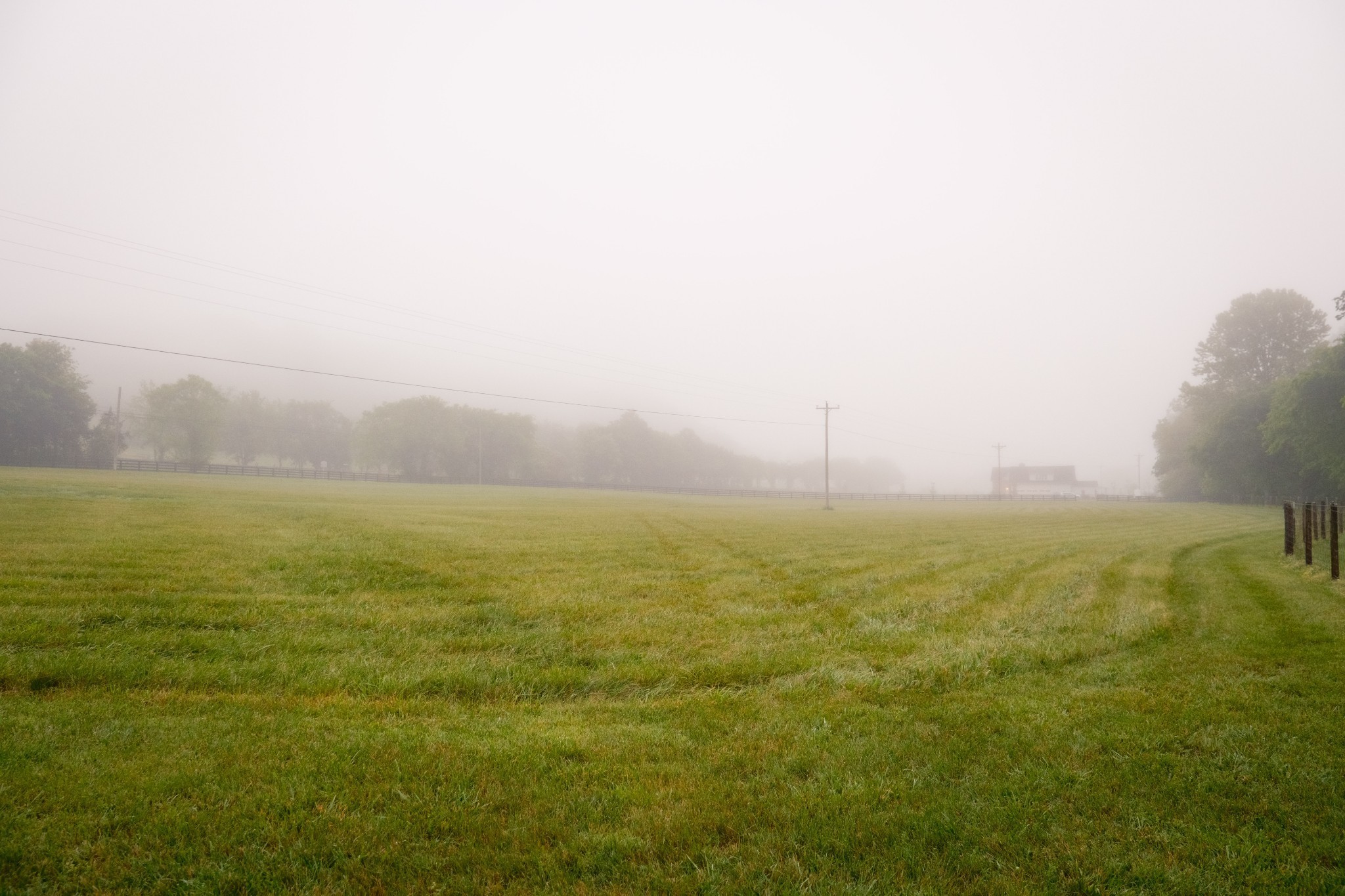 5620 Leipers Creek Rd Property Photo 74