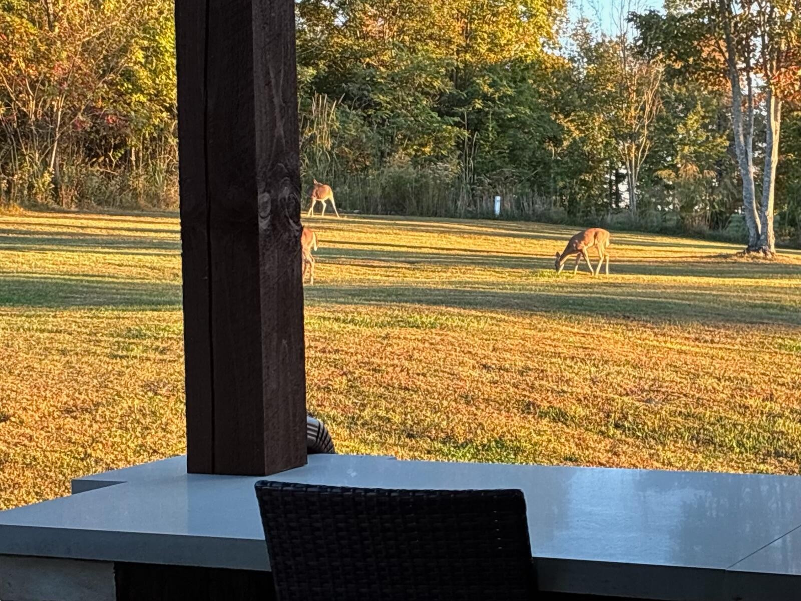 1165 River Bluffs Drive Property Photo 88