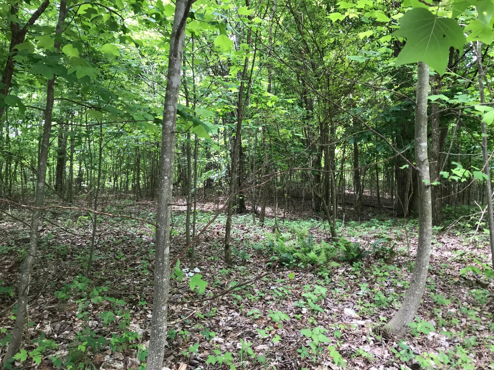 512 Wilderness Way Property Photo 1
