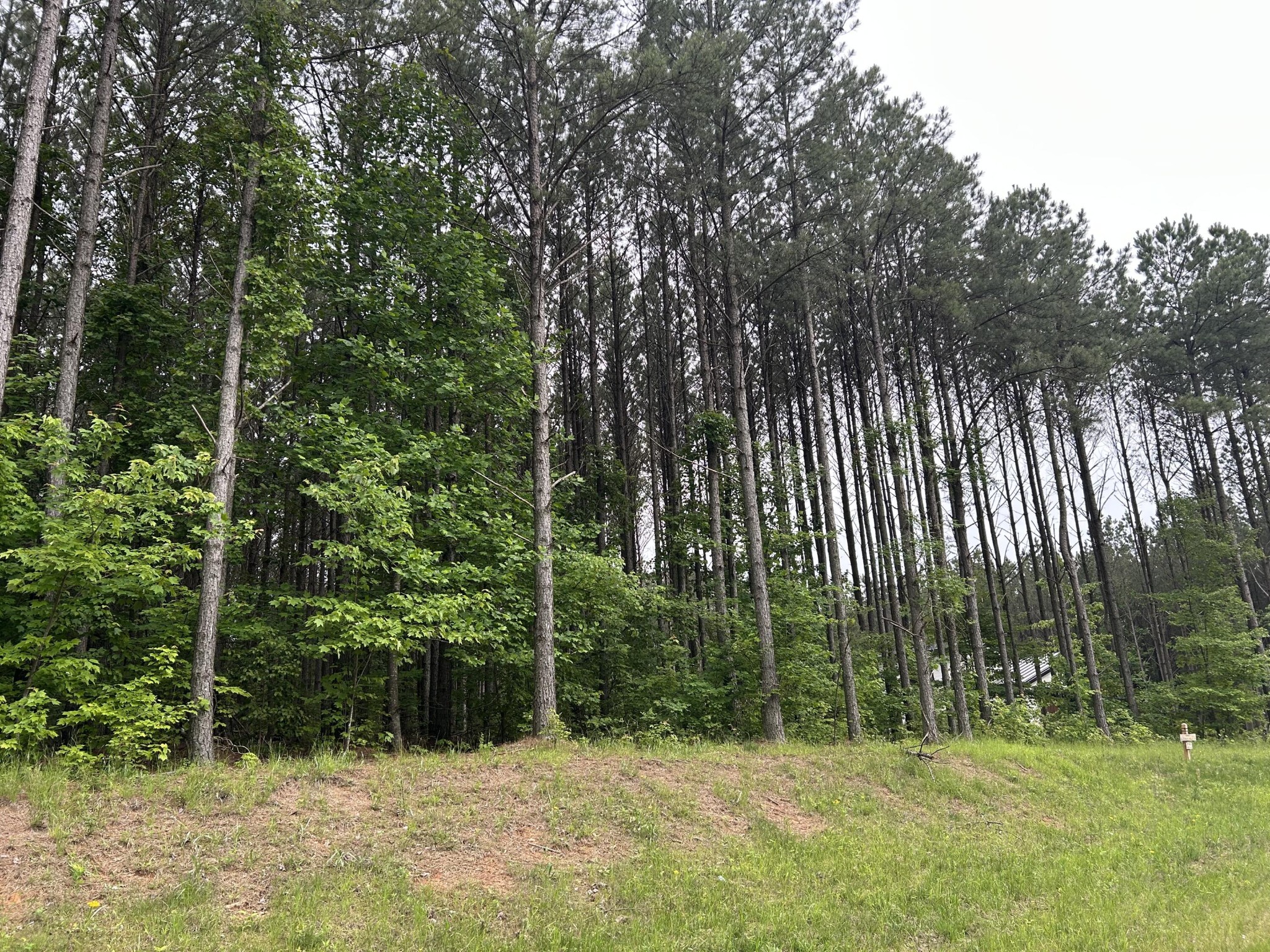 1771 Crockett Point Property Photo 3