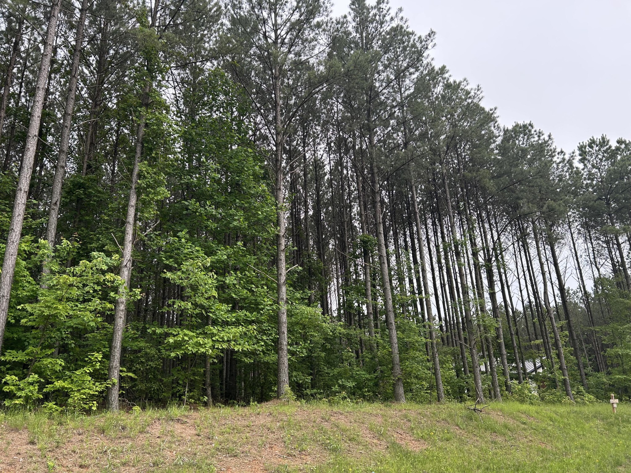 1771 Crockett Point Property Photo 4