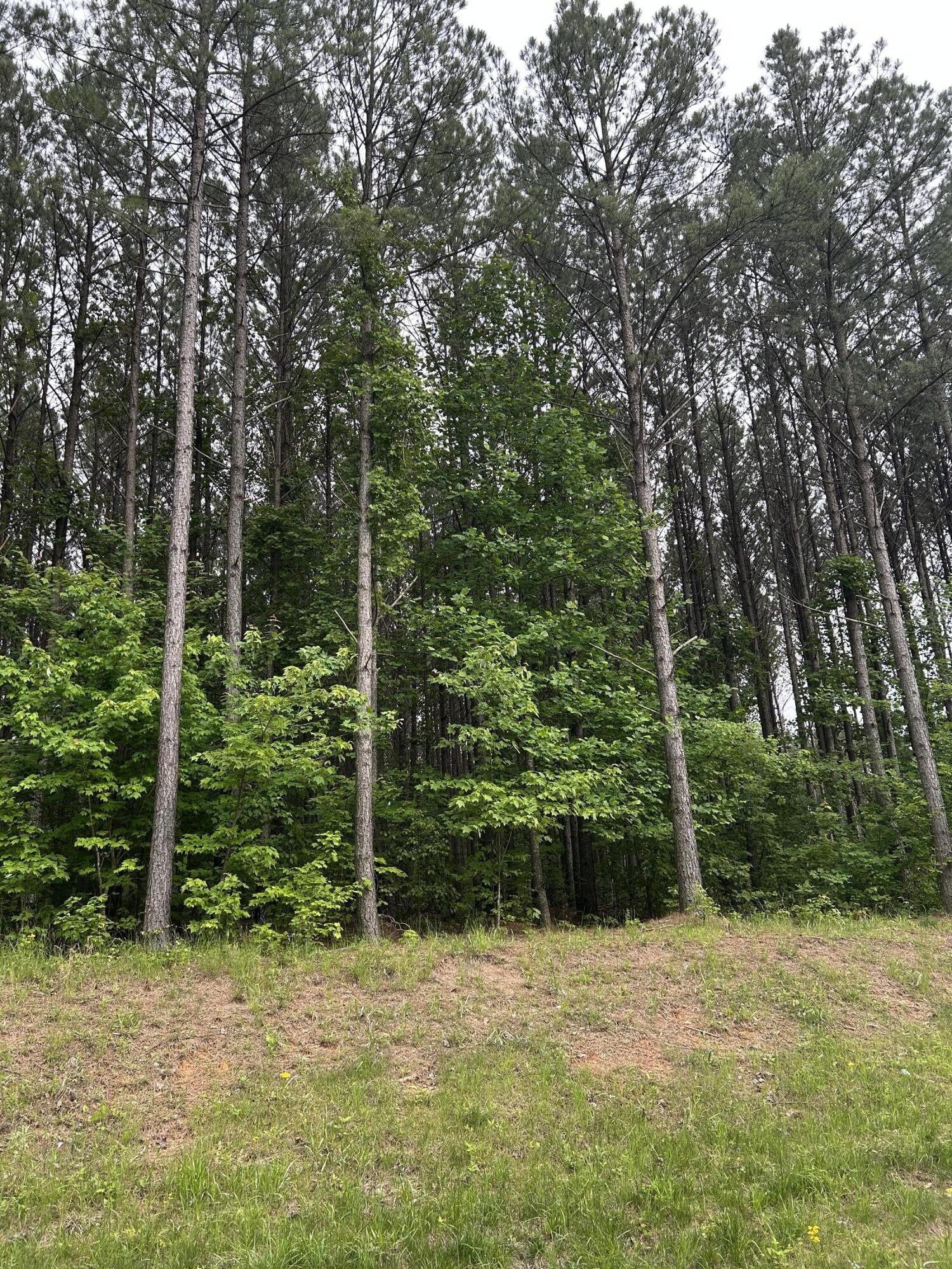 1771 Crockett Point Property Photo 5