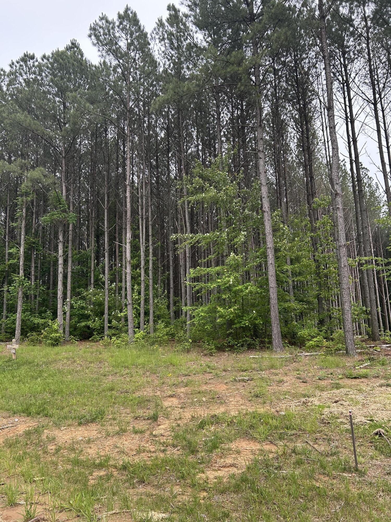 1771 Crockett Point Property Photo 6