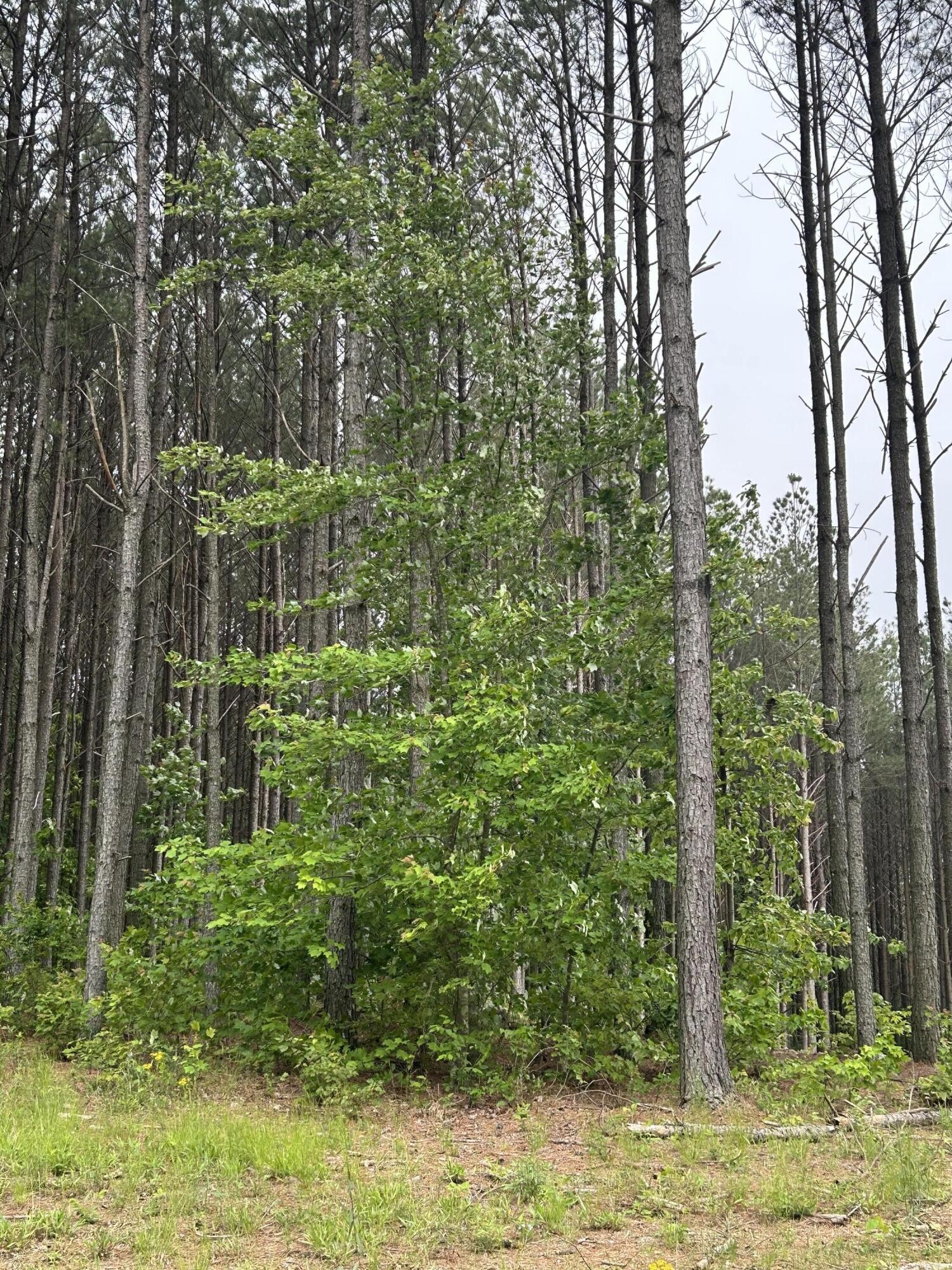 1771 Crockett Point Property Photo 8