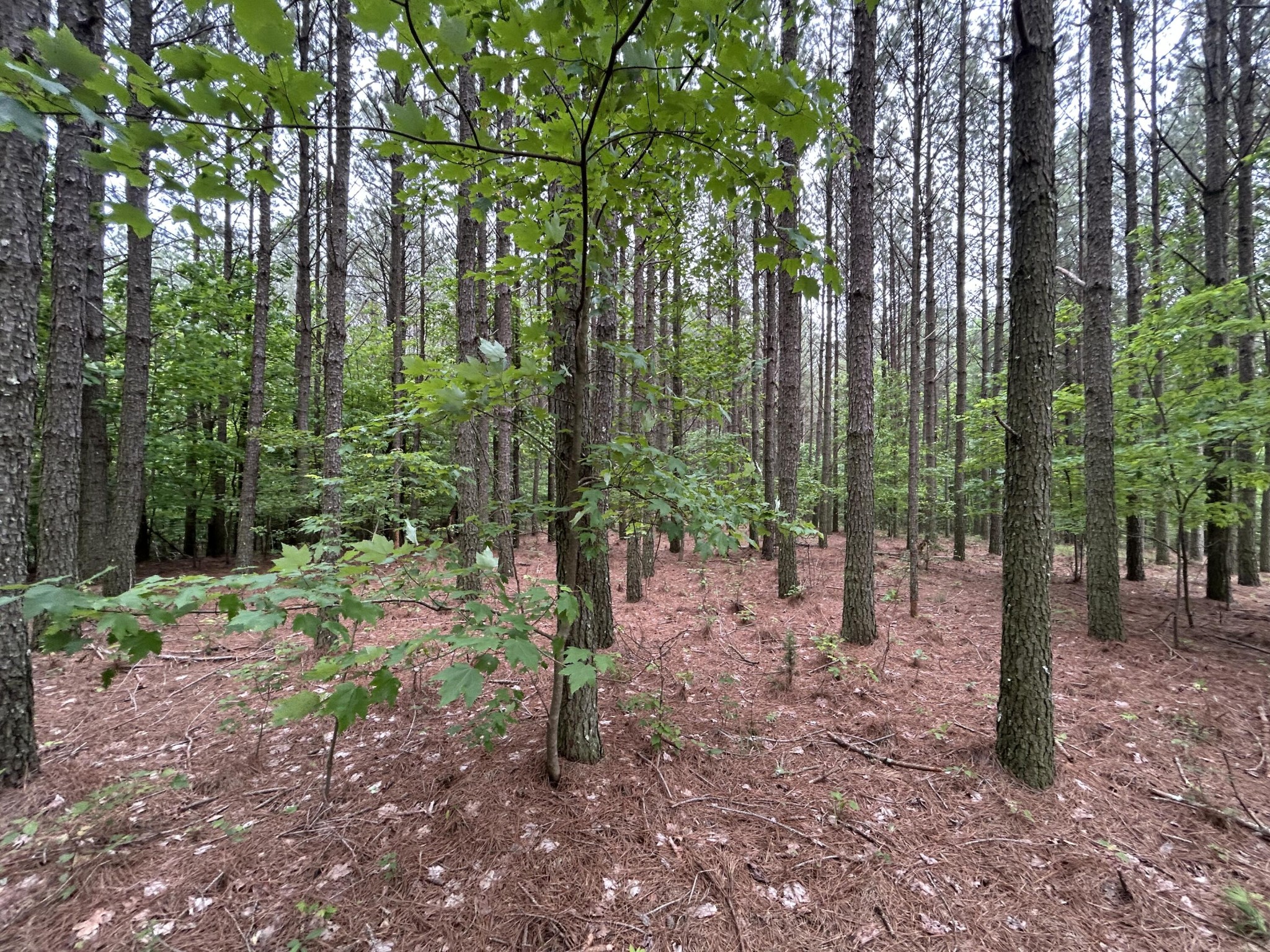1771 Crockett Point Property Photo 10