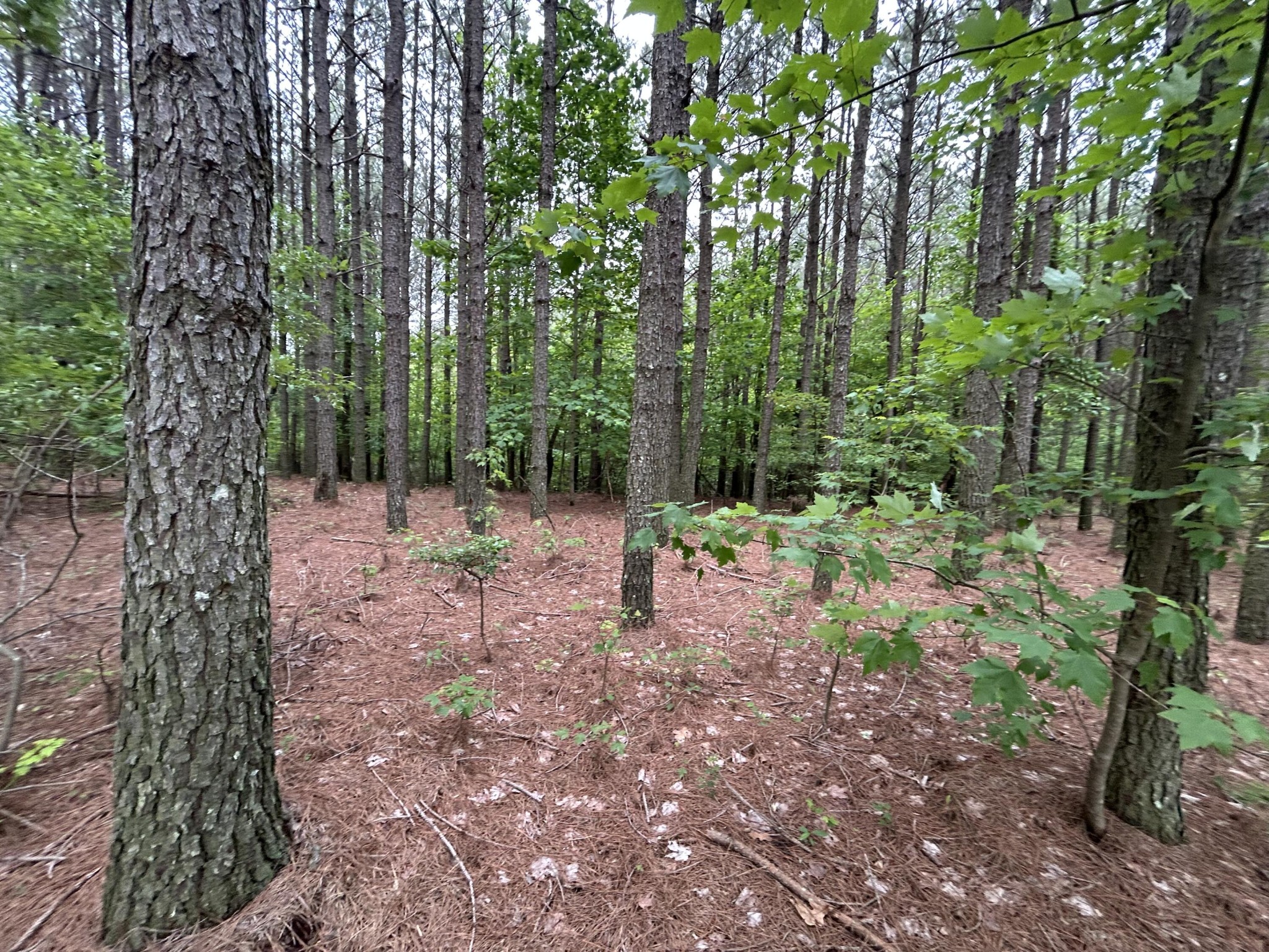 1771 Crockett Point Property Photo 11