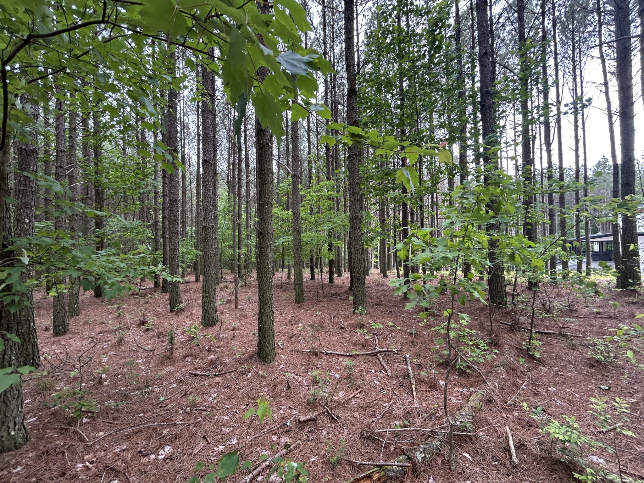1771 Crockett Point Property Photo 12
