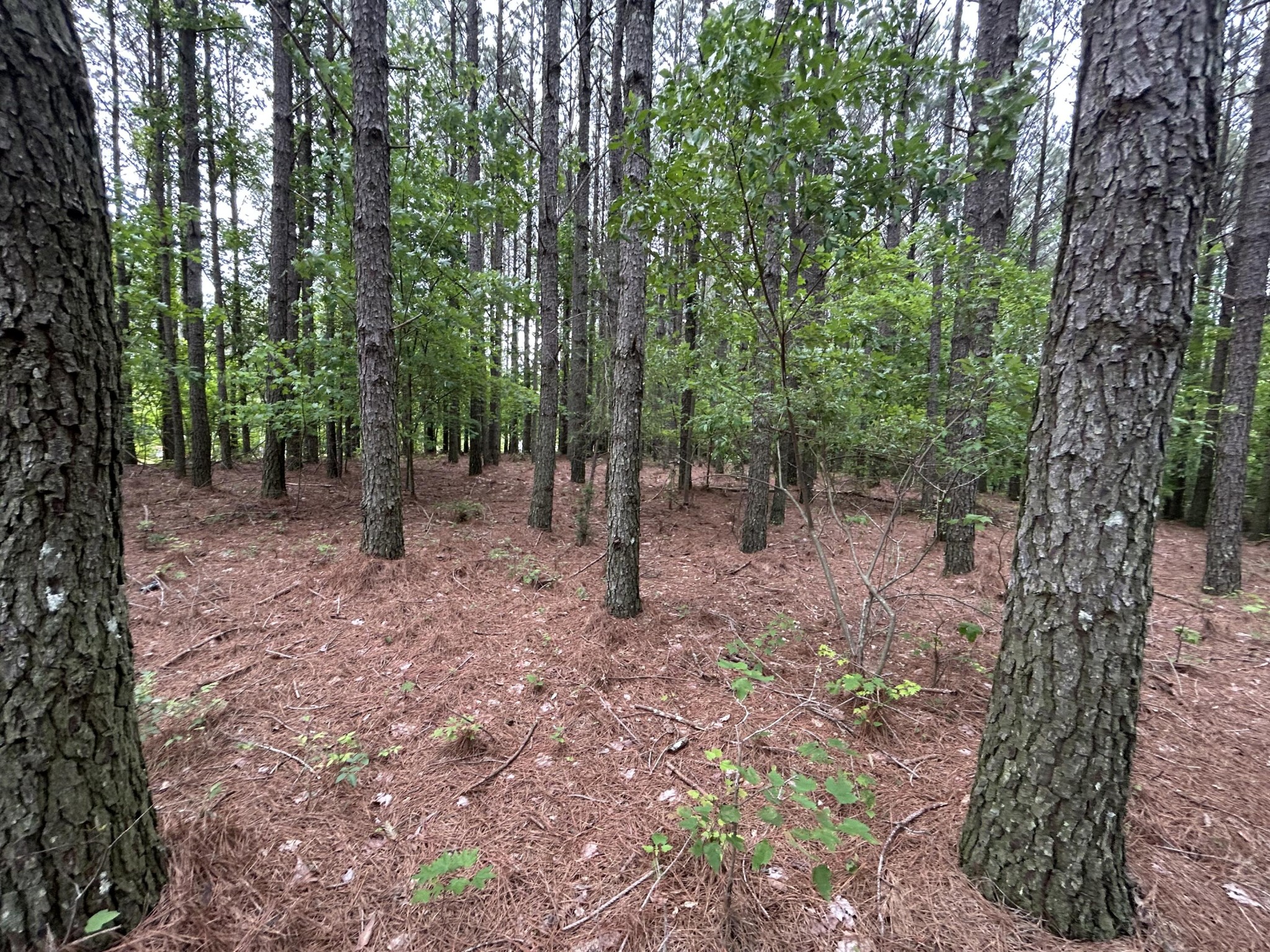 1771 Crockett Point Property Photo 13