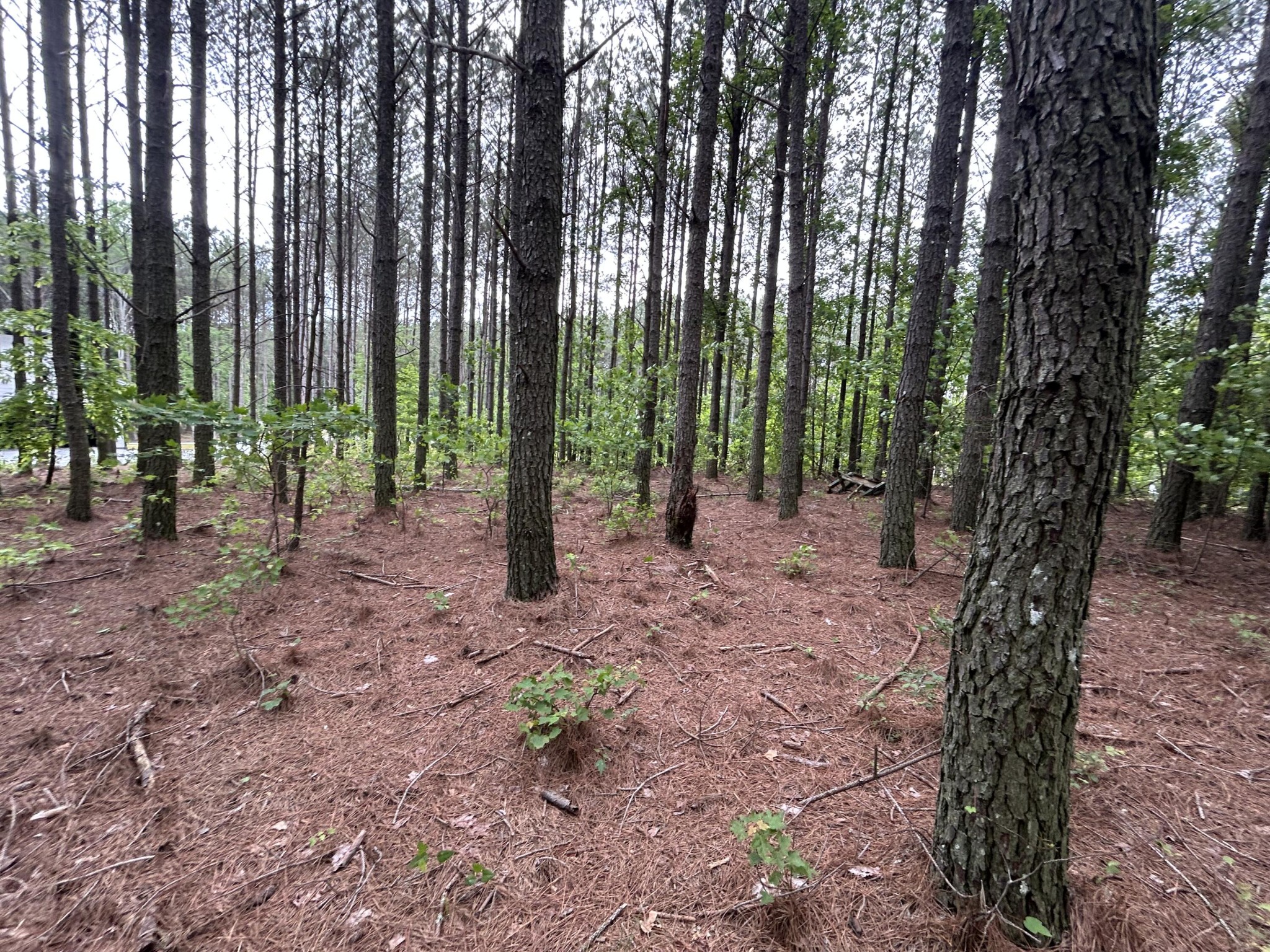1771 Crockett Point Property Photo 14