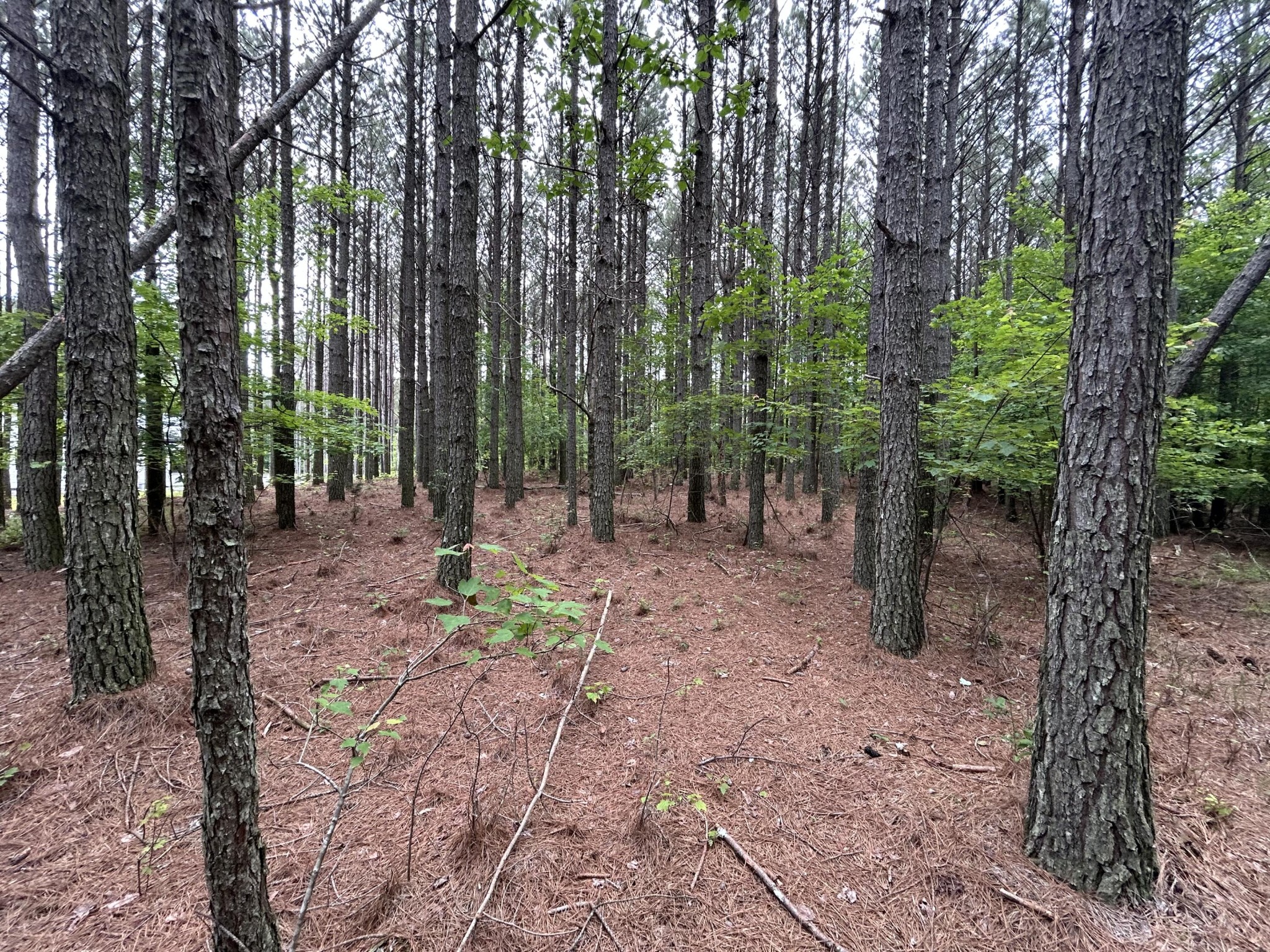 1771 Crockett Point Property Photo 15