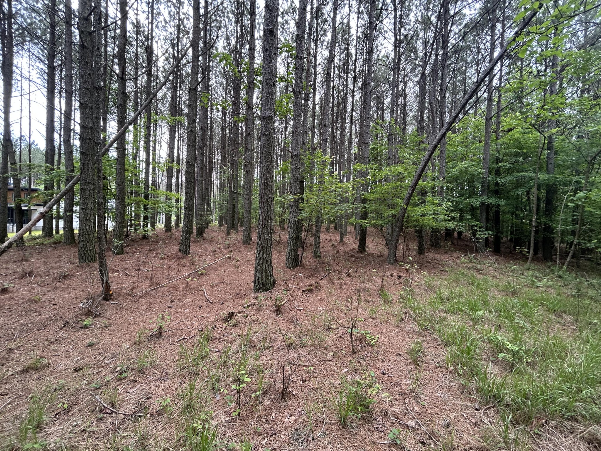 1771 Crockett Point Property Photo 16