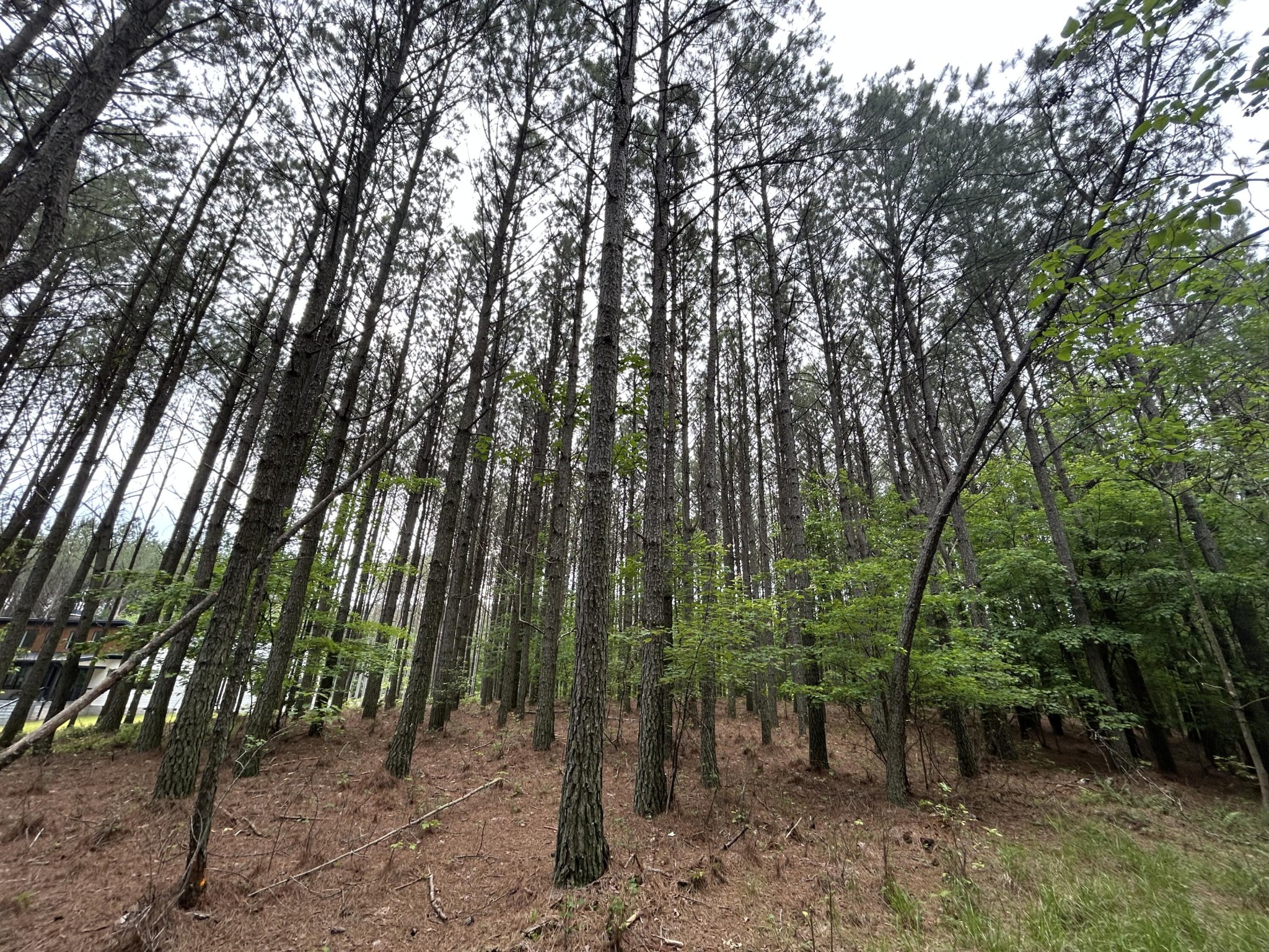 1771 Crockett Point Property Photo 17