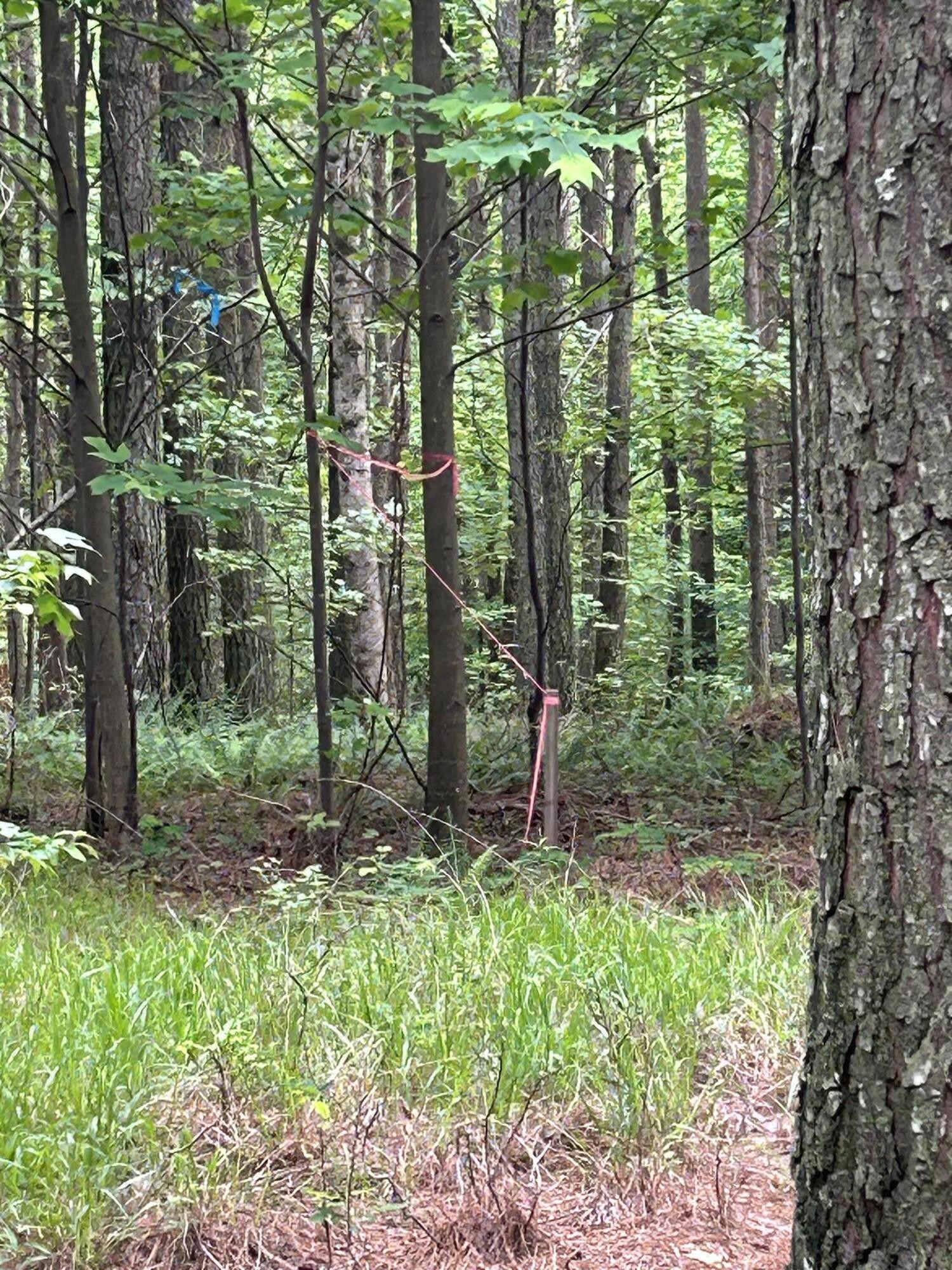 1771 Crockett Point Property Photo 18