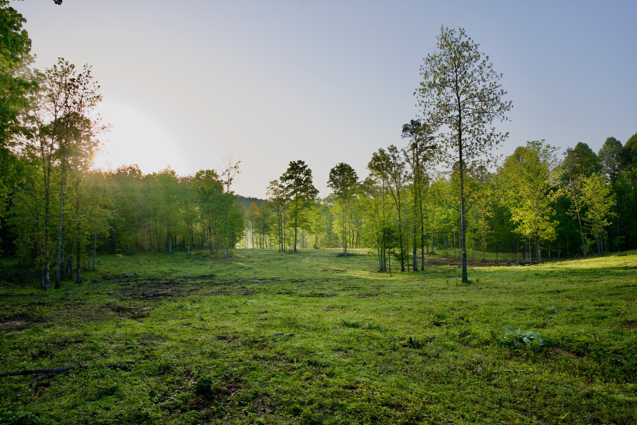 40a Barker Cove Loop Property Photo 1
