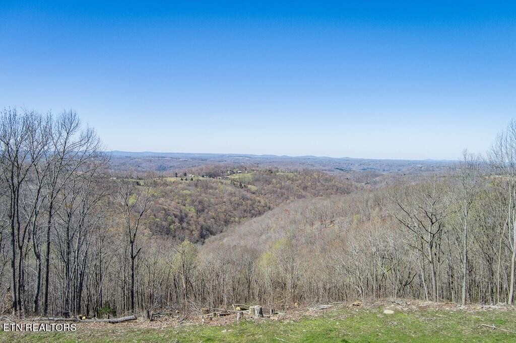 388 Anderson Rd Property Photo 1