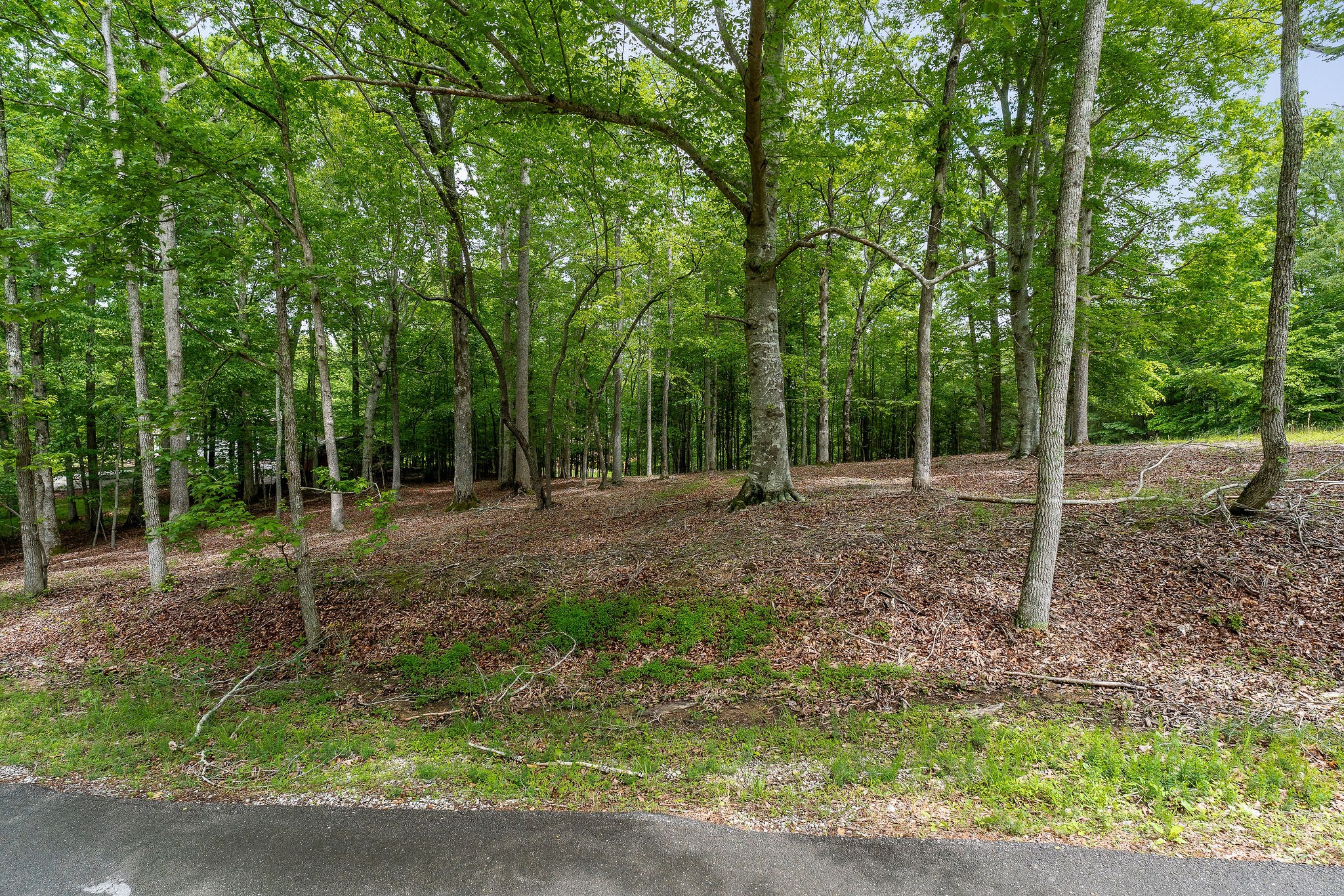 0 Four Seasons Dr Property Photo 1