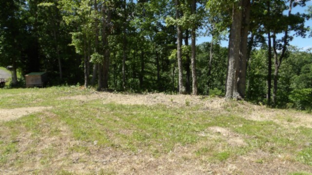 46 Billy Westmoreland Rd Property Photo